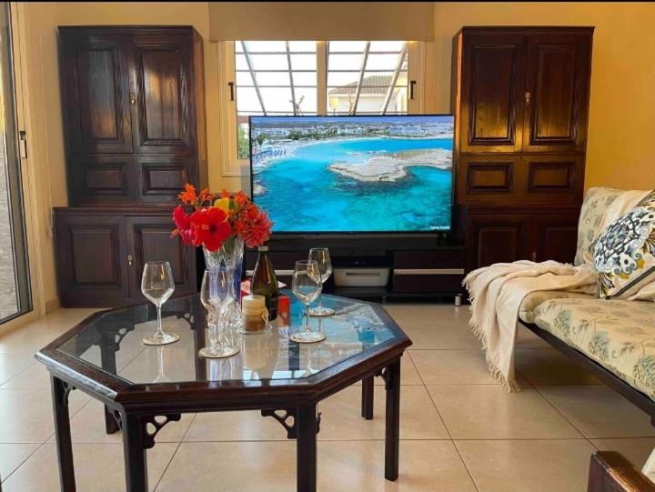 Nissi Farytail pool and Sea view