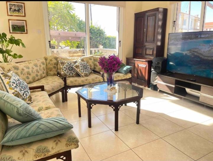 Nissi Farytail pool and Sea view