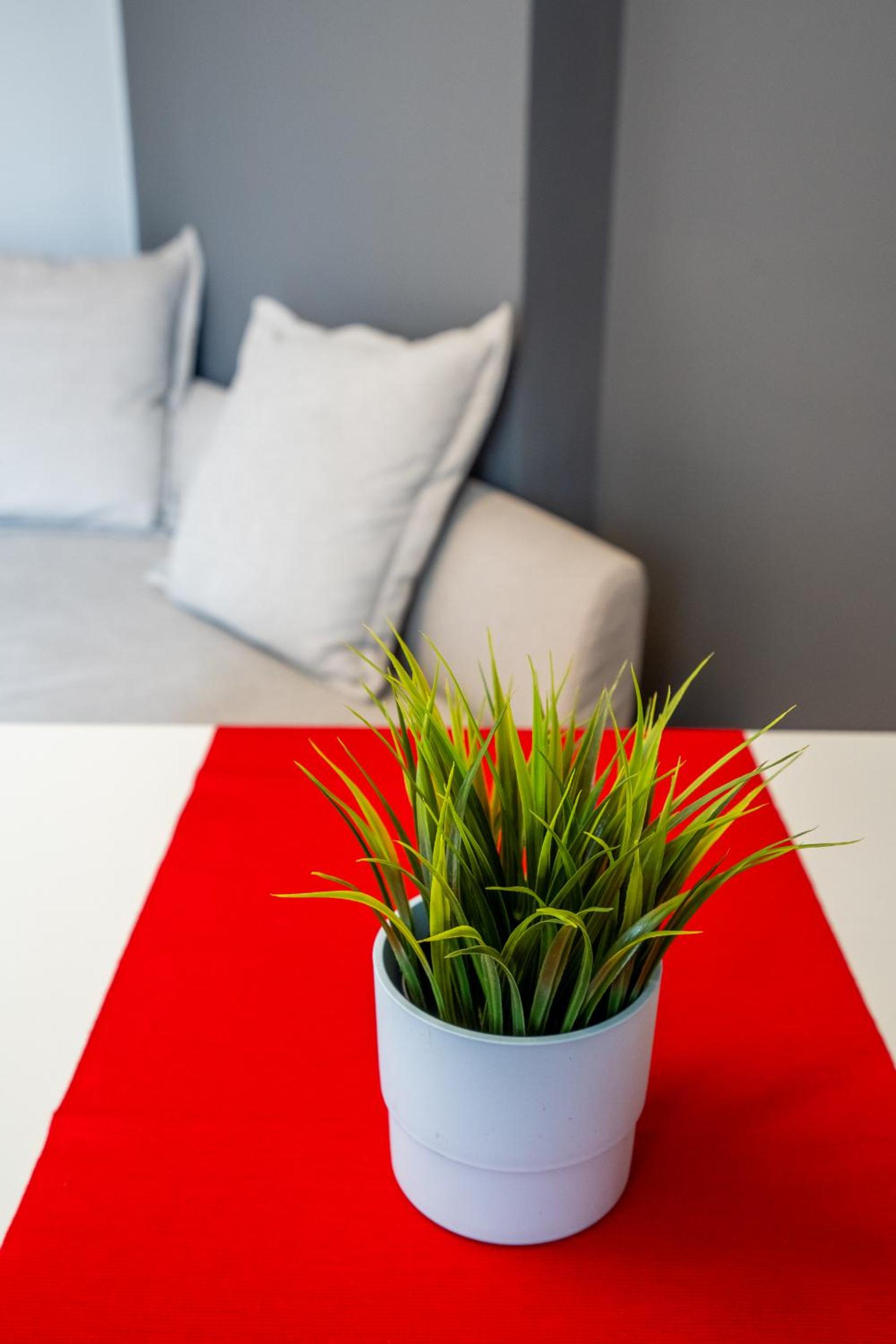Downtown apartment EYMI