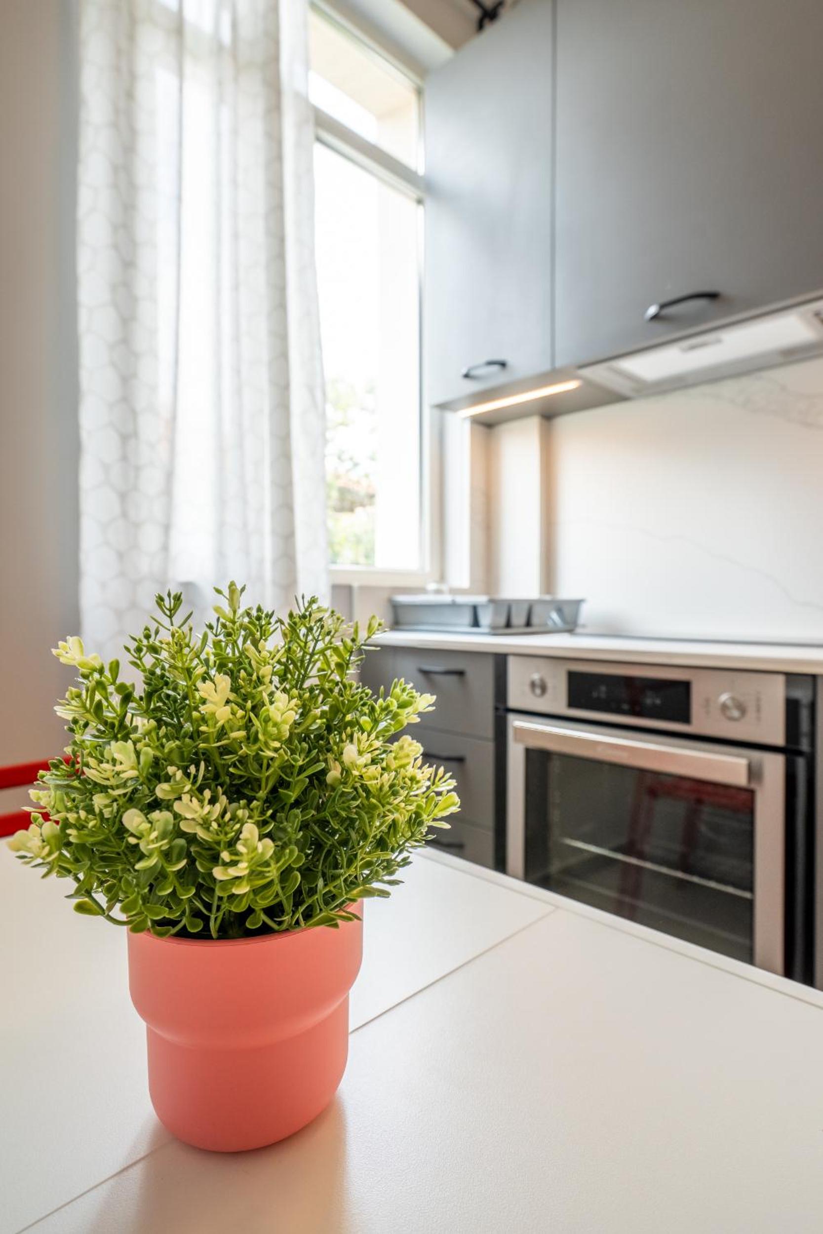 Downtown apartment EYMI