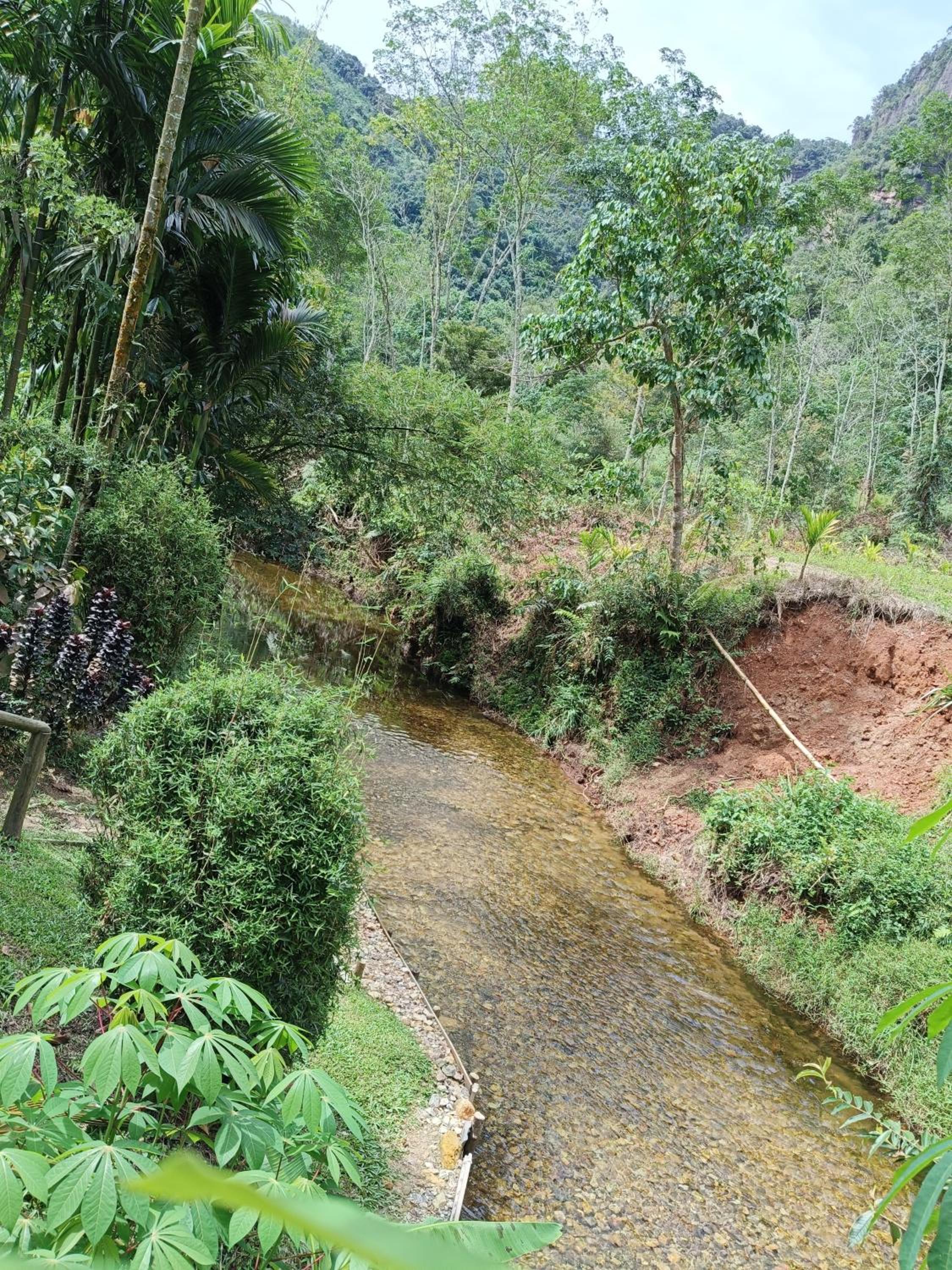 Orau Asthana view 2
