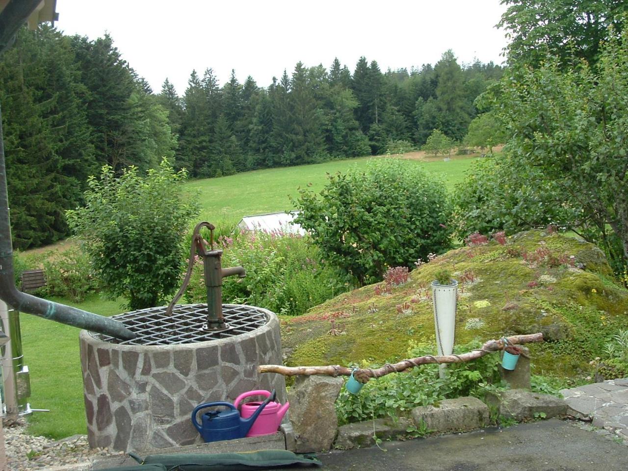 Photo 27