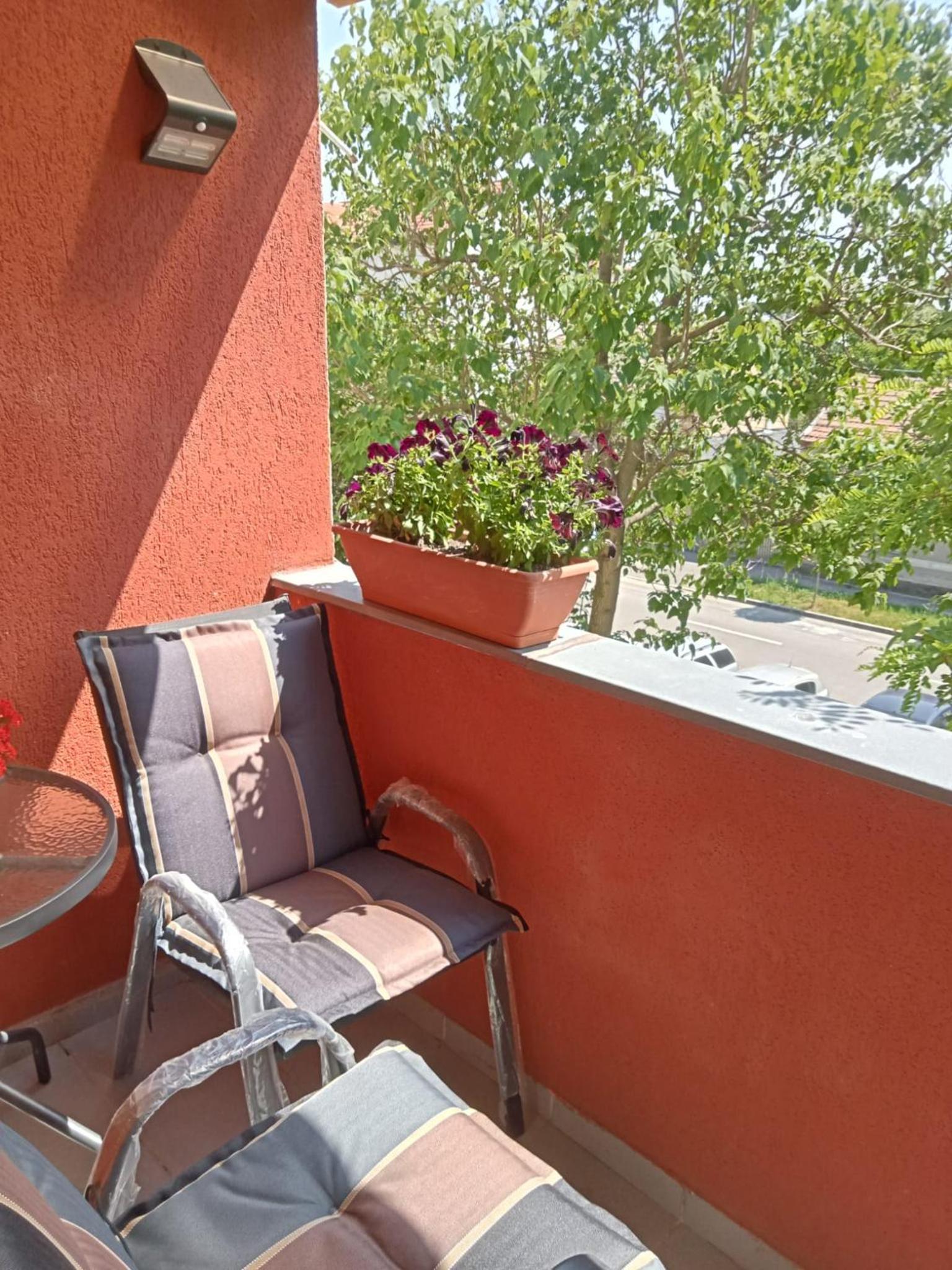 Apartament Miloia-Timisoara view 5
