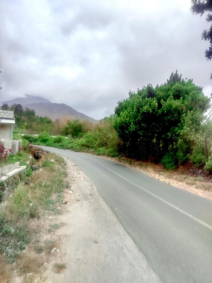 Rinjani Inn