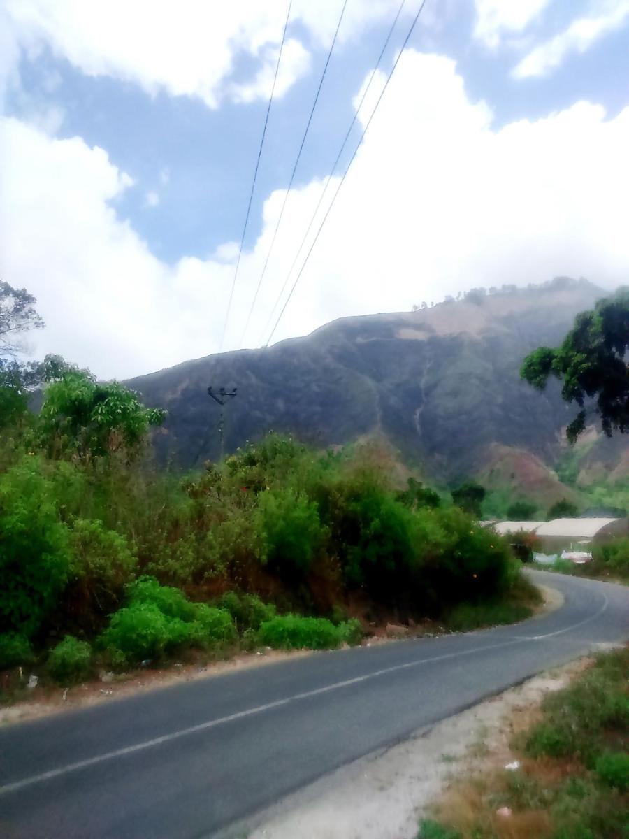 Rinjani Inn