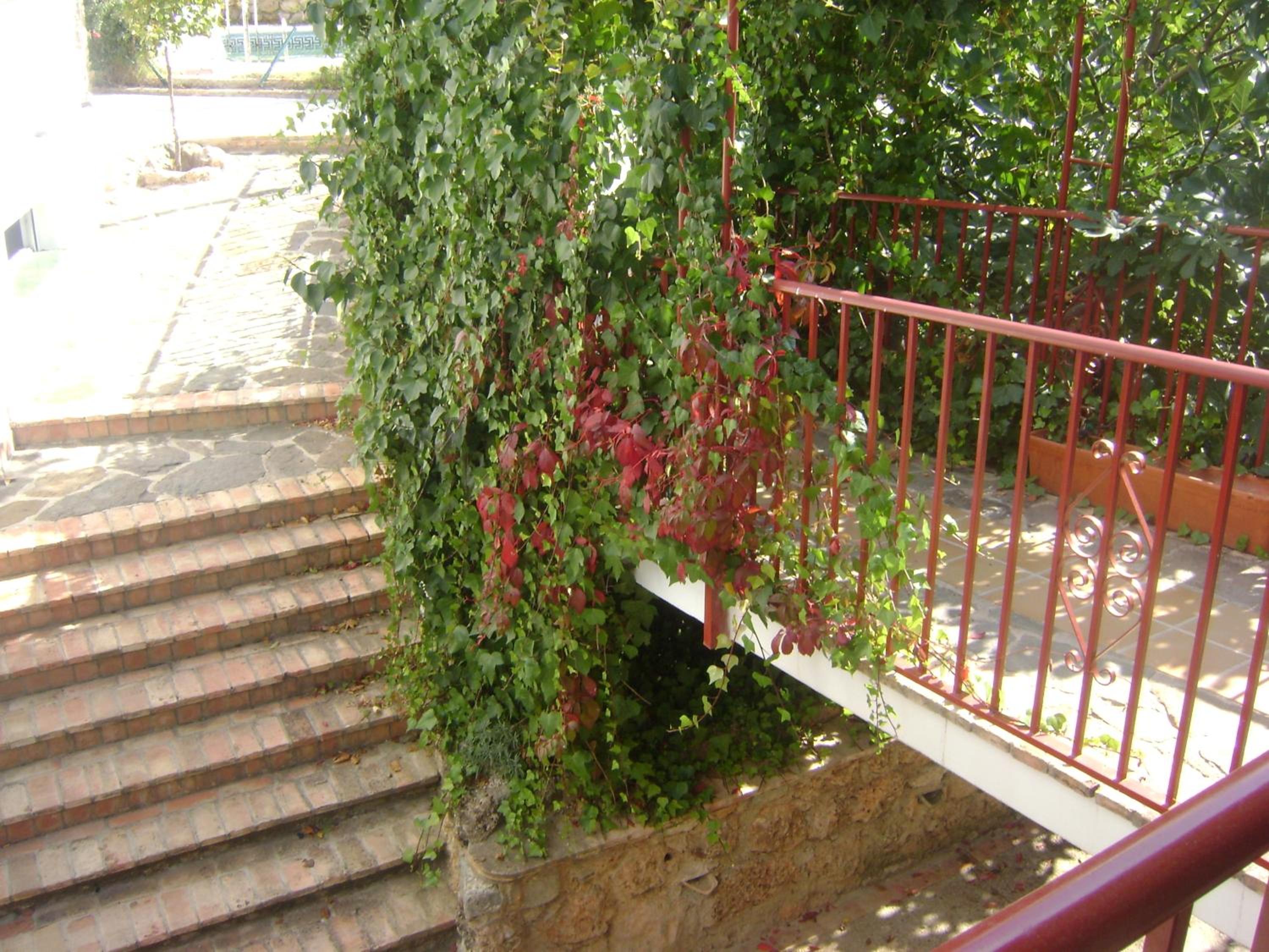 Photo 51
