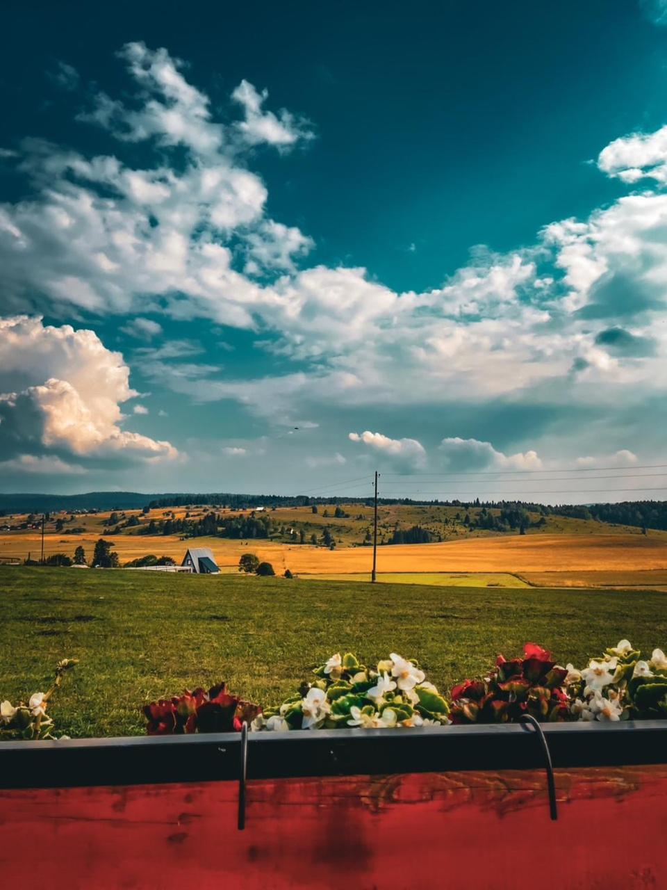 ROMANIJA - Brvnara za odmor
