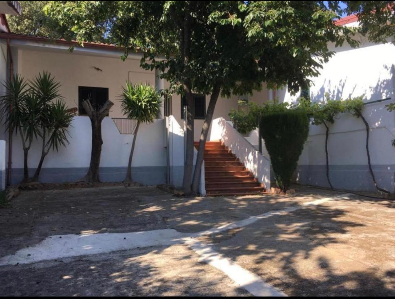 Villa Paladino