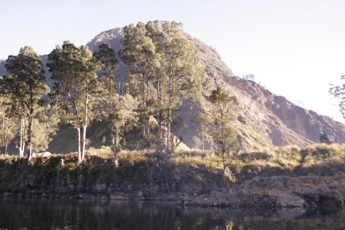Rinjani Inn