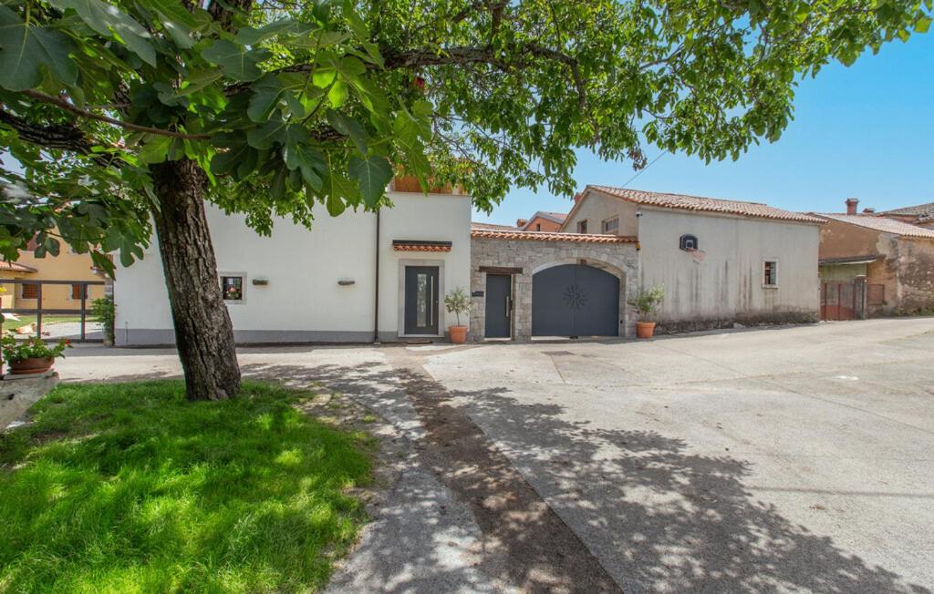 Apartmaji Robida