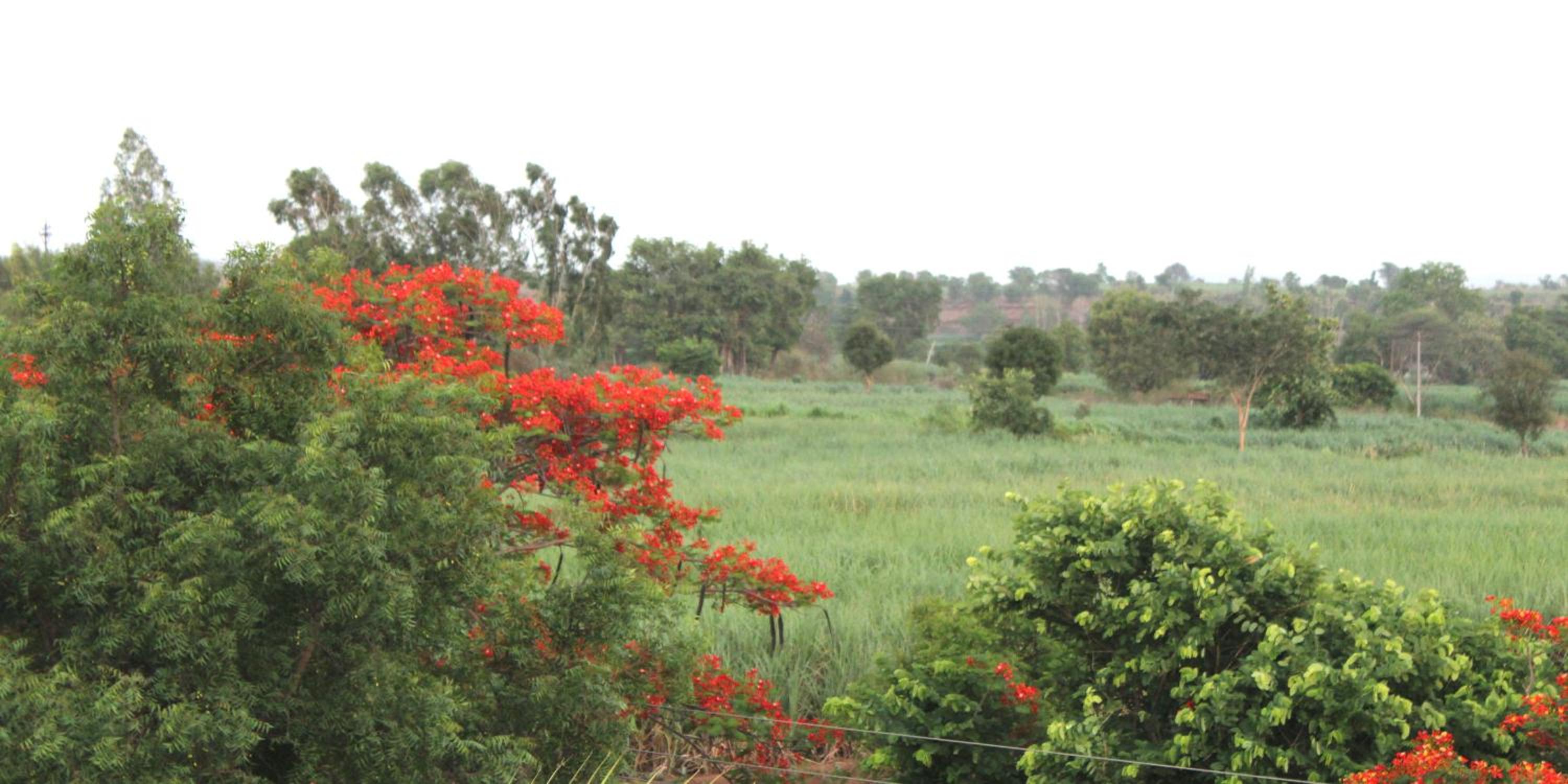 Jayshree Farmstays