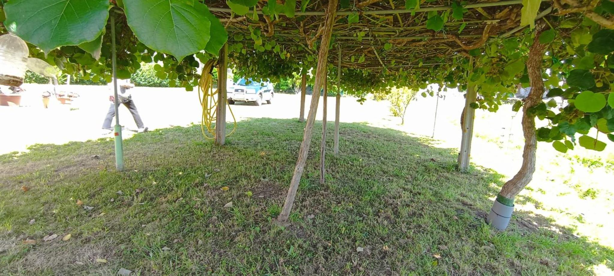 EnSan CIPRIAN Casa Lula