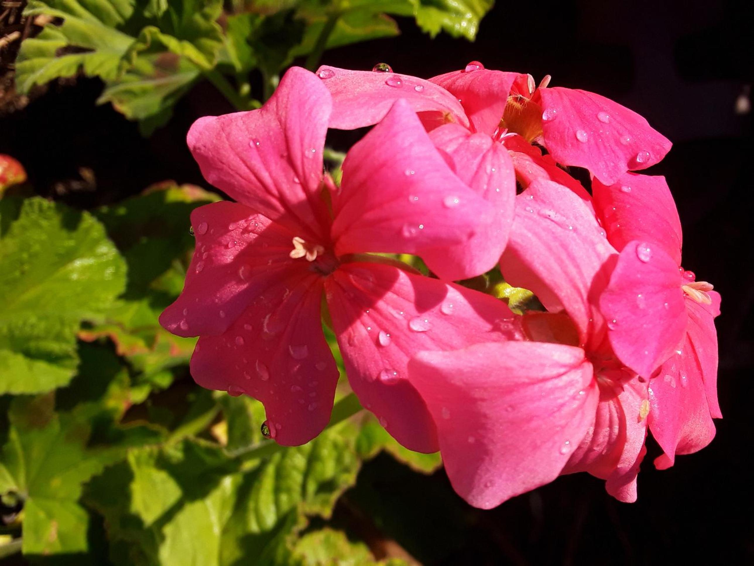Photo 27