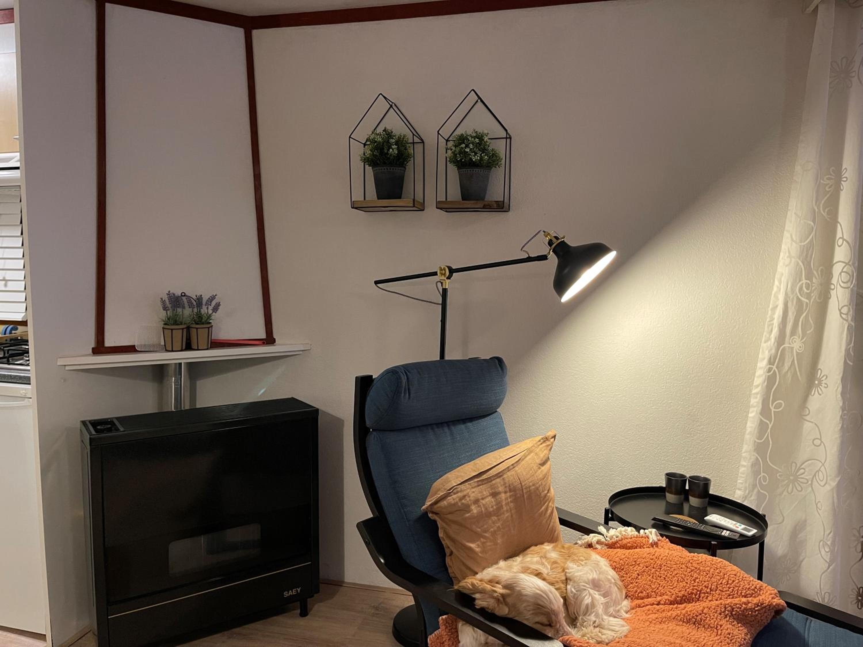 Photo 19