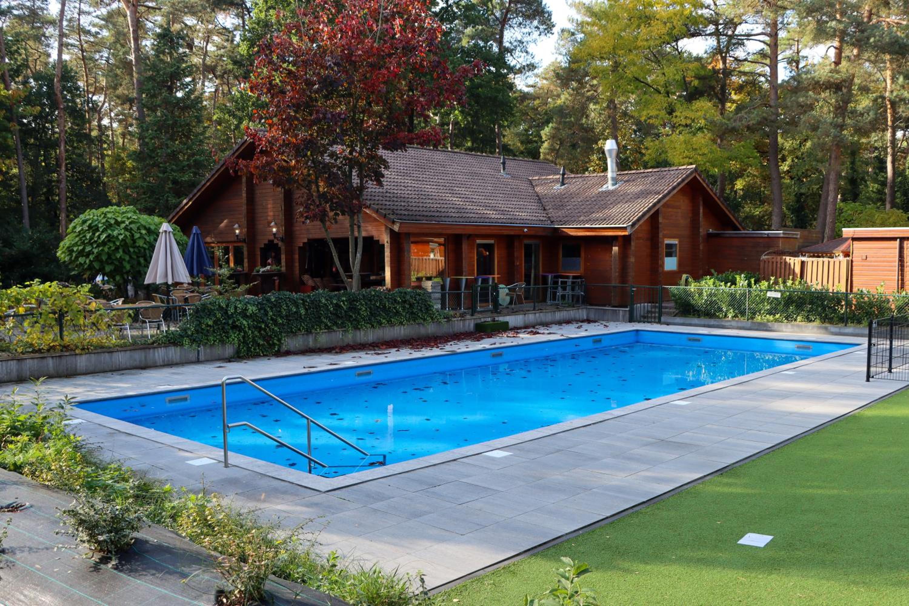 Tranquil forest chalet by a pond in Veluwe, sleeps 4 view 4