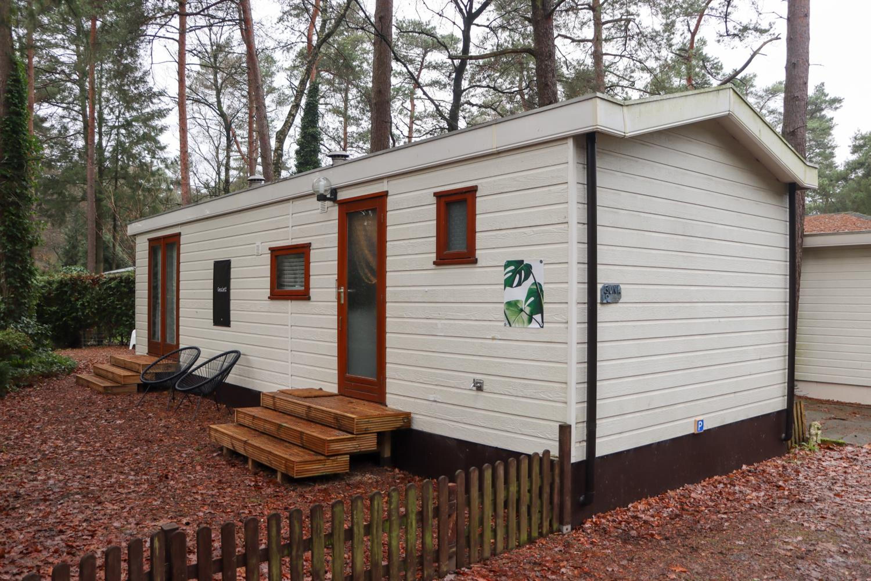 Tranquil forest chalet by a pond in Veluwe, sleeps 4 view 5