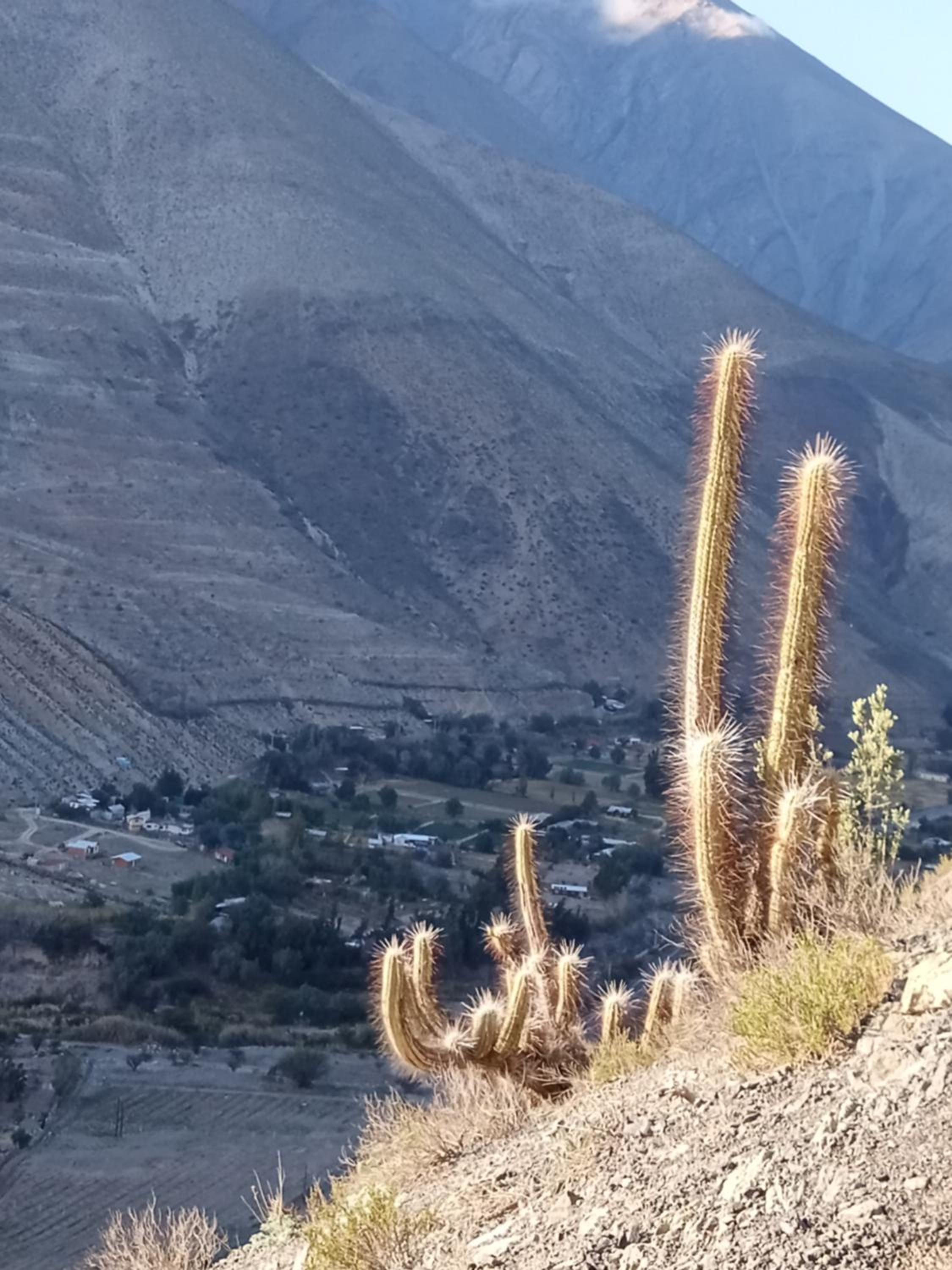 Casaelqui