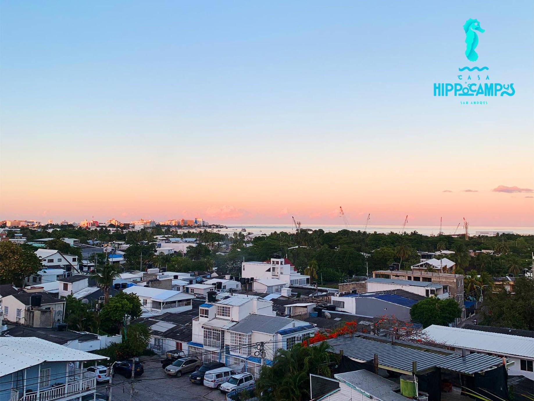 Sukha Hippocampus San Andrés Isla