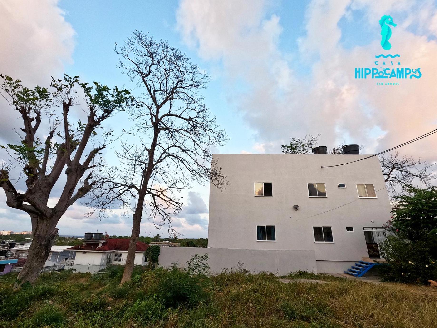 Sukha Hippocampus San Andrés Isla