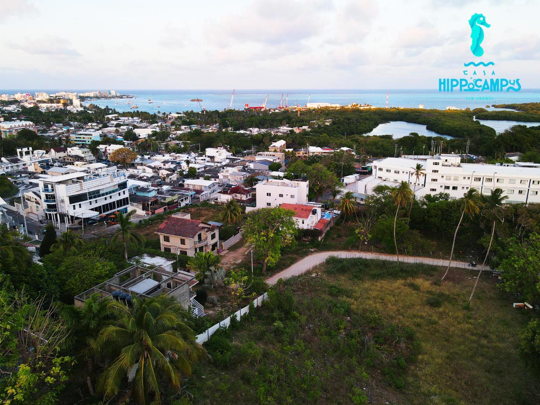 Sukha Hippocampus San Andrés Isla