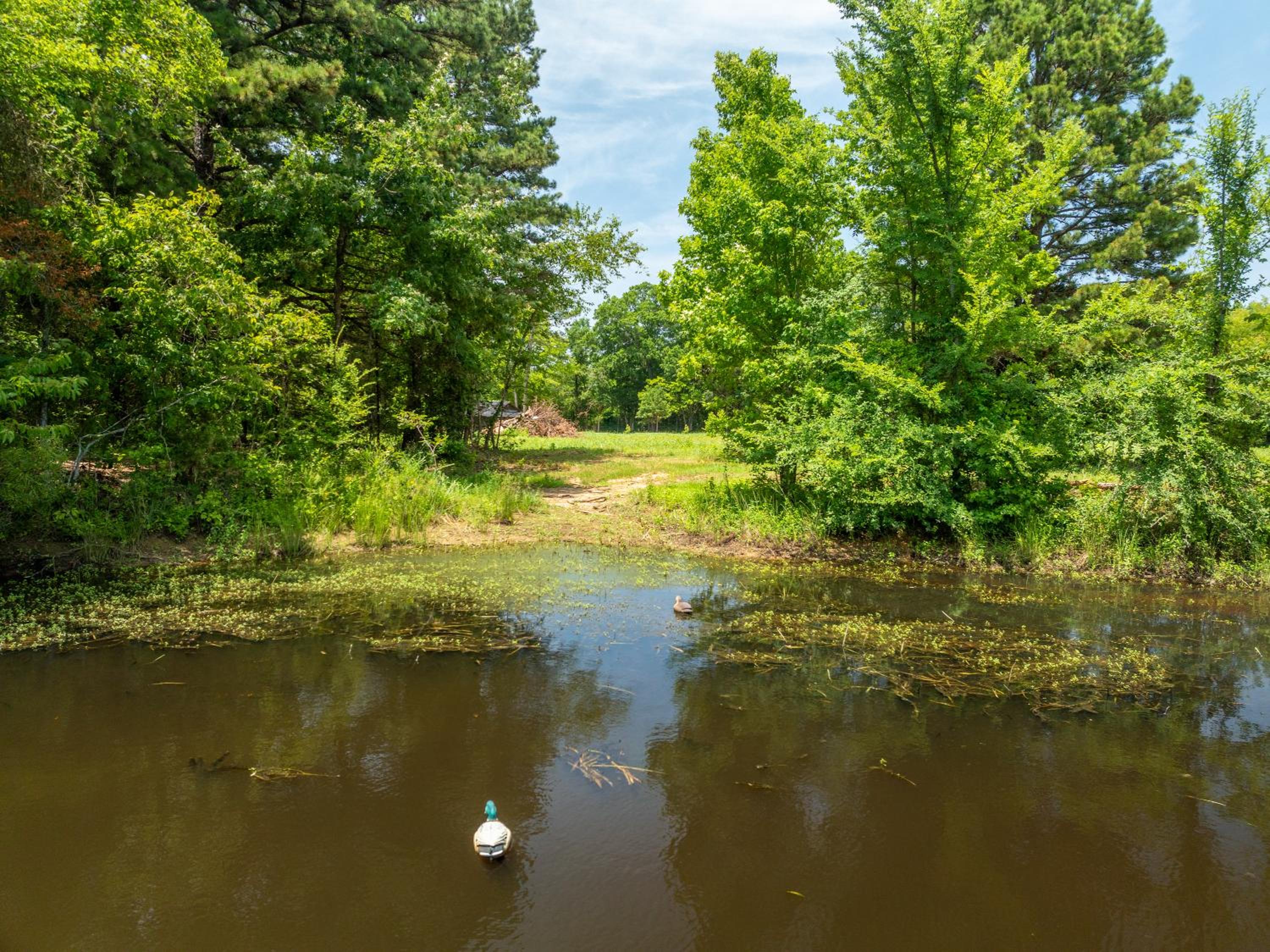 Nordins Lake House Peaceful Lakefront Hideaway on Delaware Bay - Property Image 4
