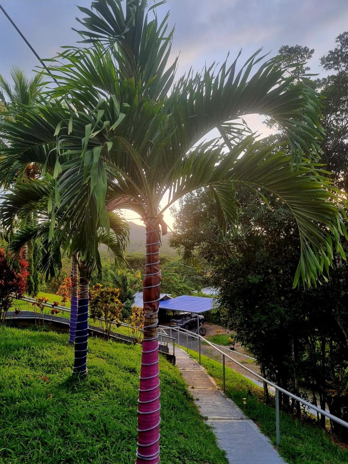 Finca Hotel La Esmeralda Zarzal