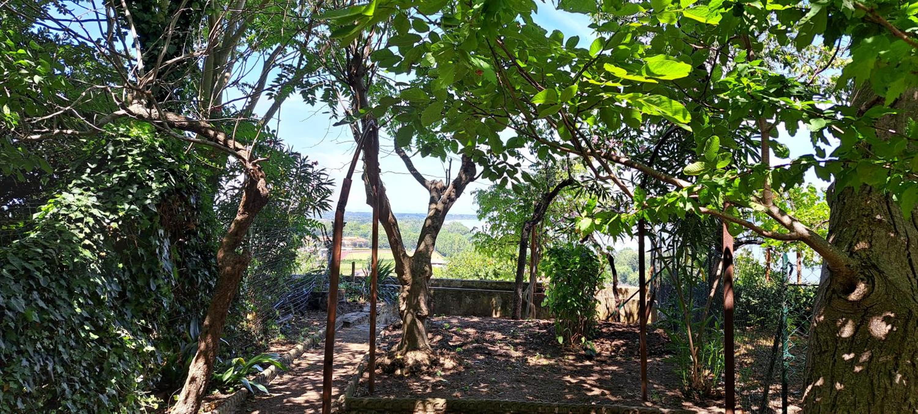 Photo 16