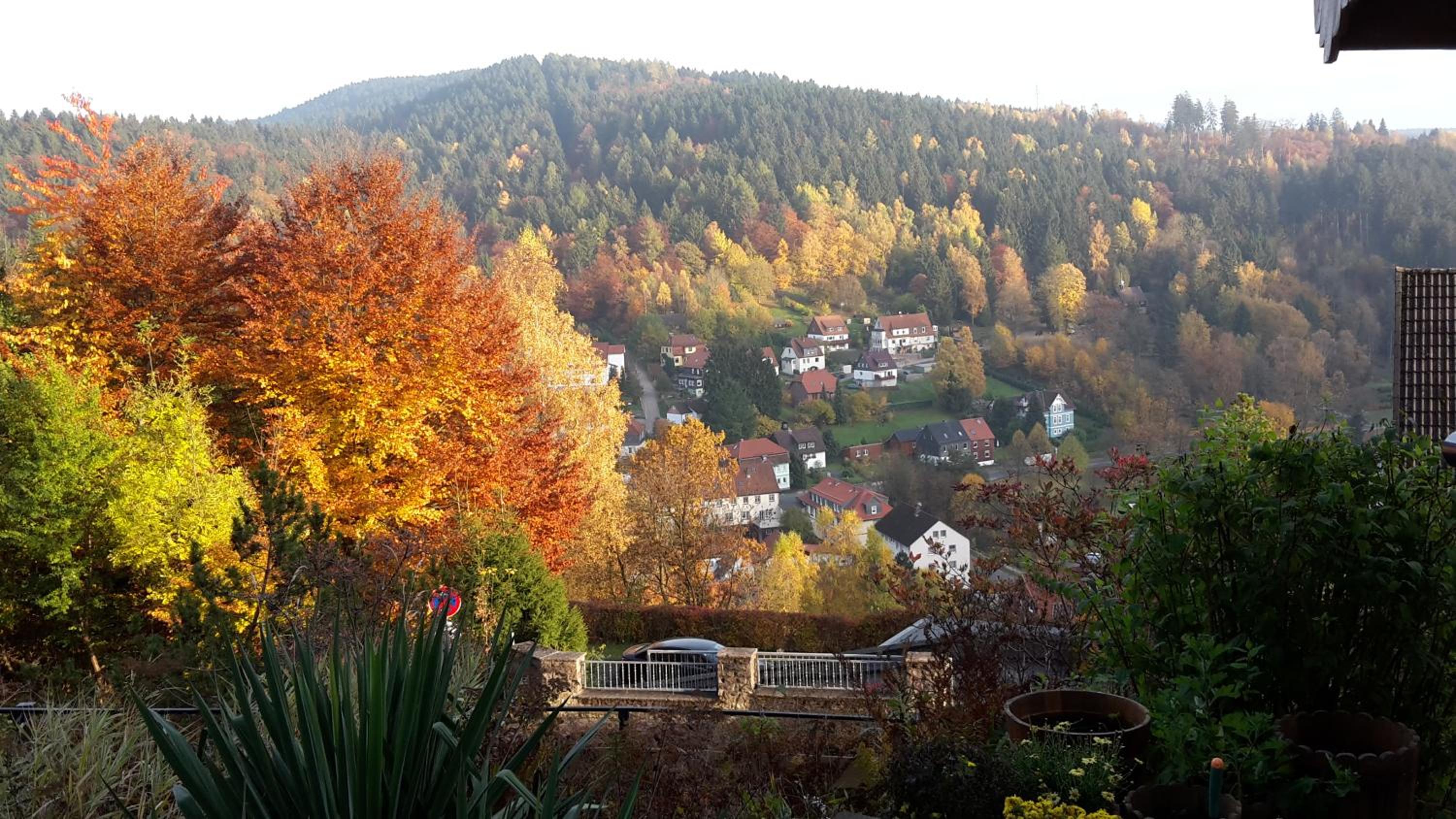 Pension Talblick Bad Grund