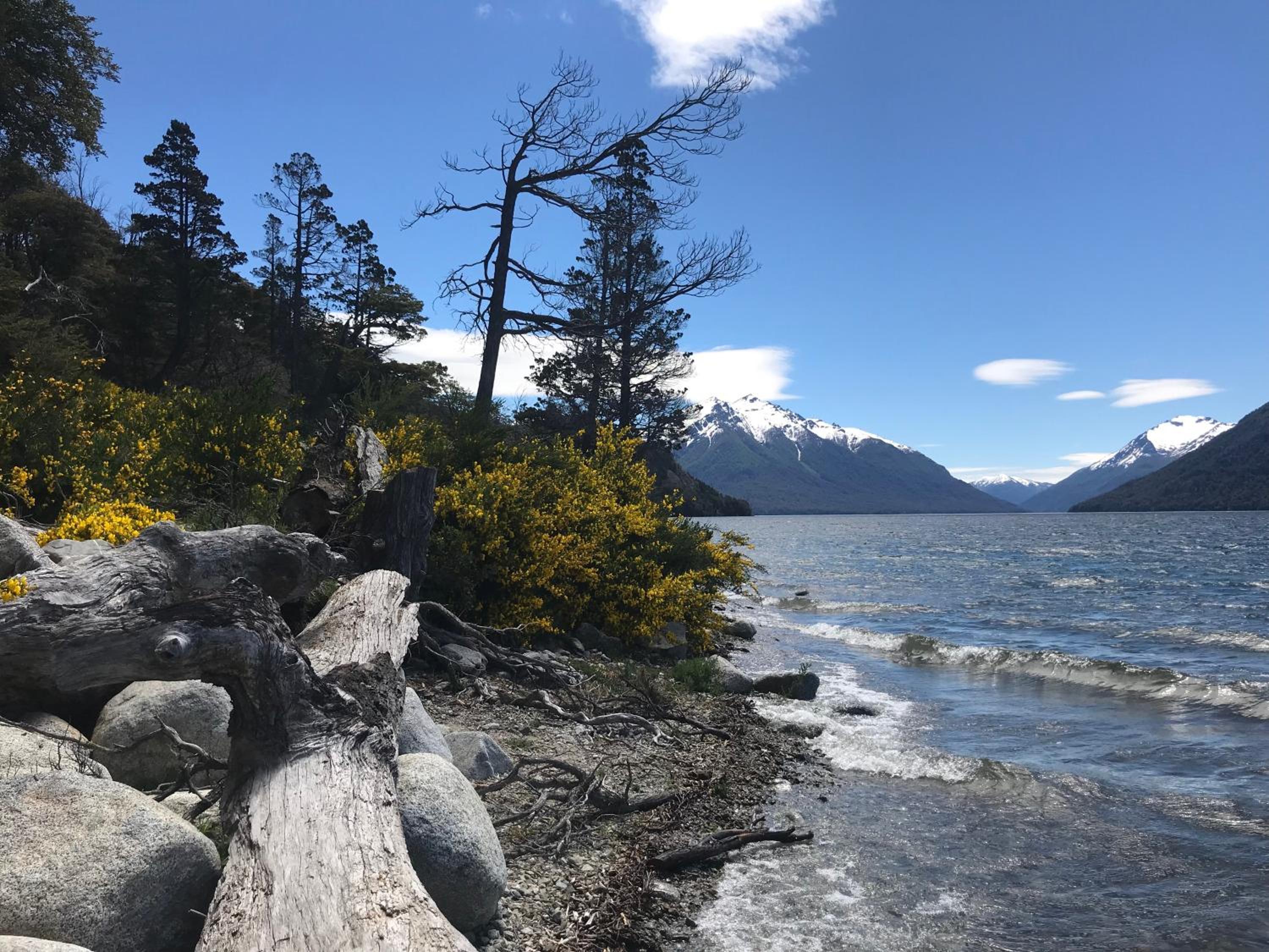 Apartments Bariloche - Villa Traful
