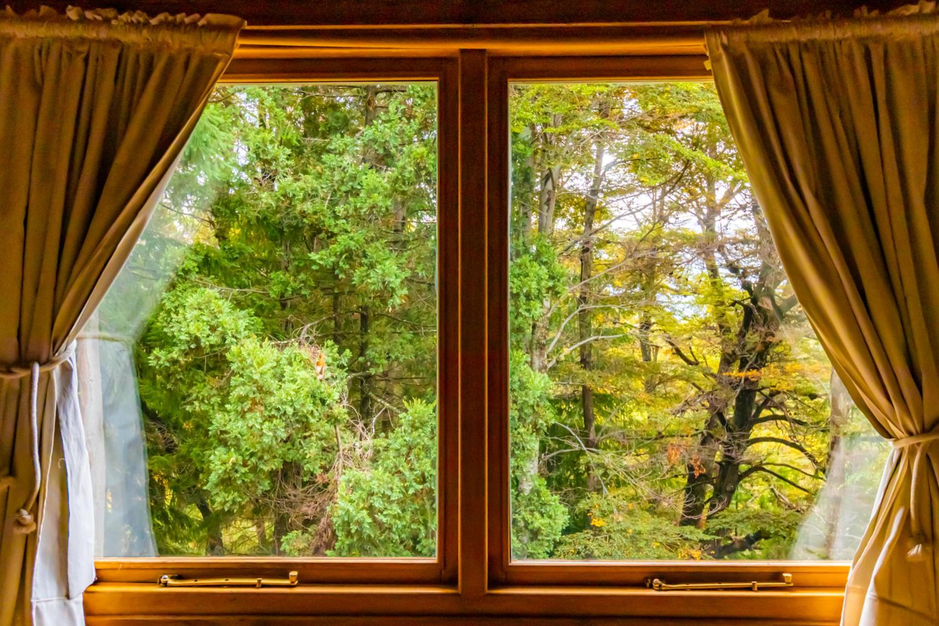 Apartments Bariloche - Villa Traful