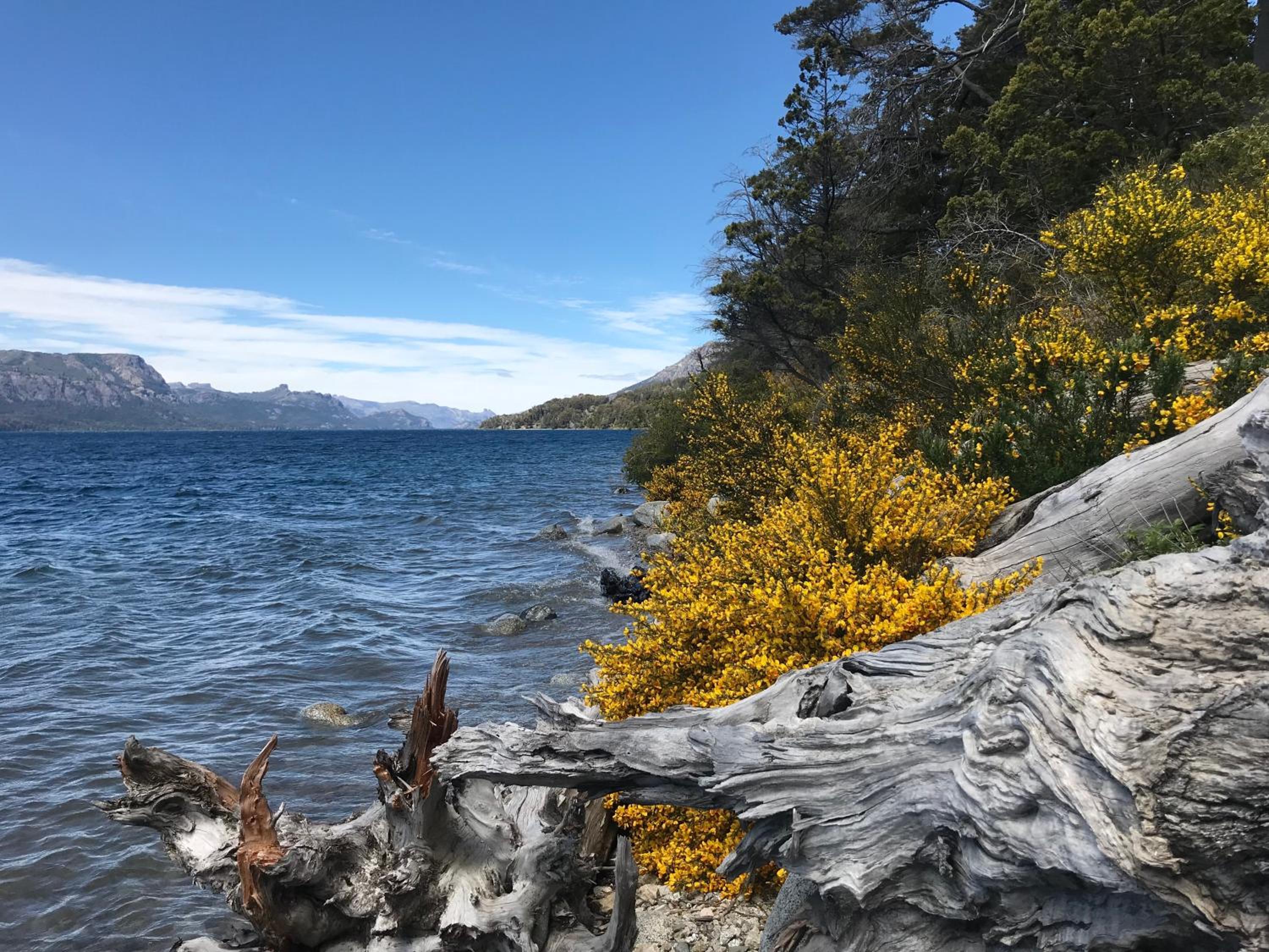 Apartments Bariloche - Villa Traful