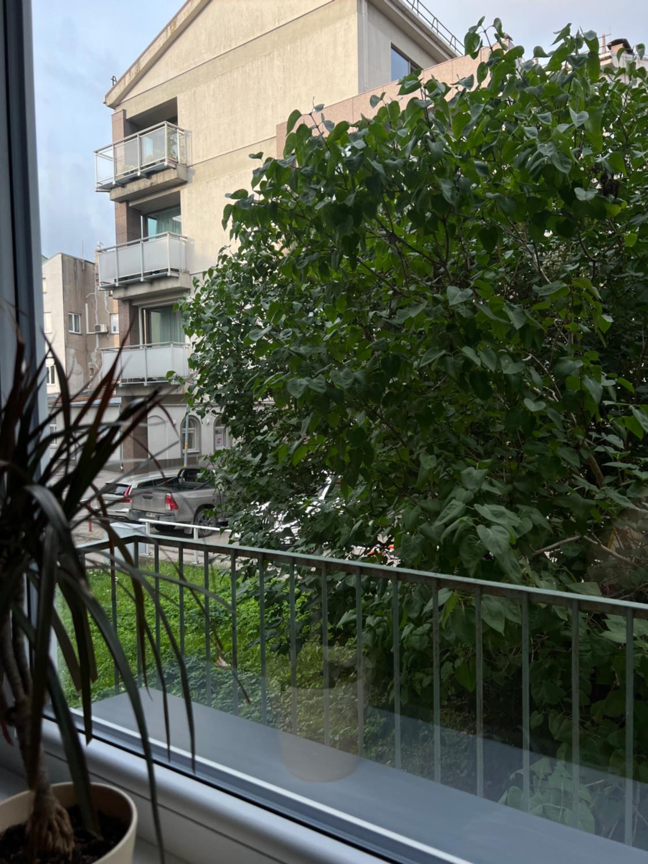 Vītolu apartment