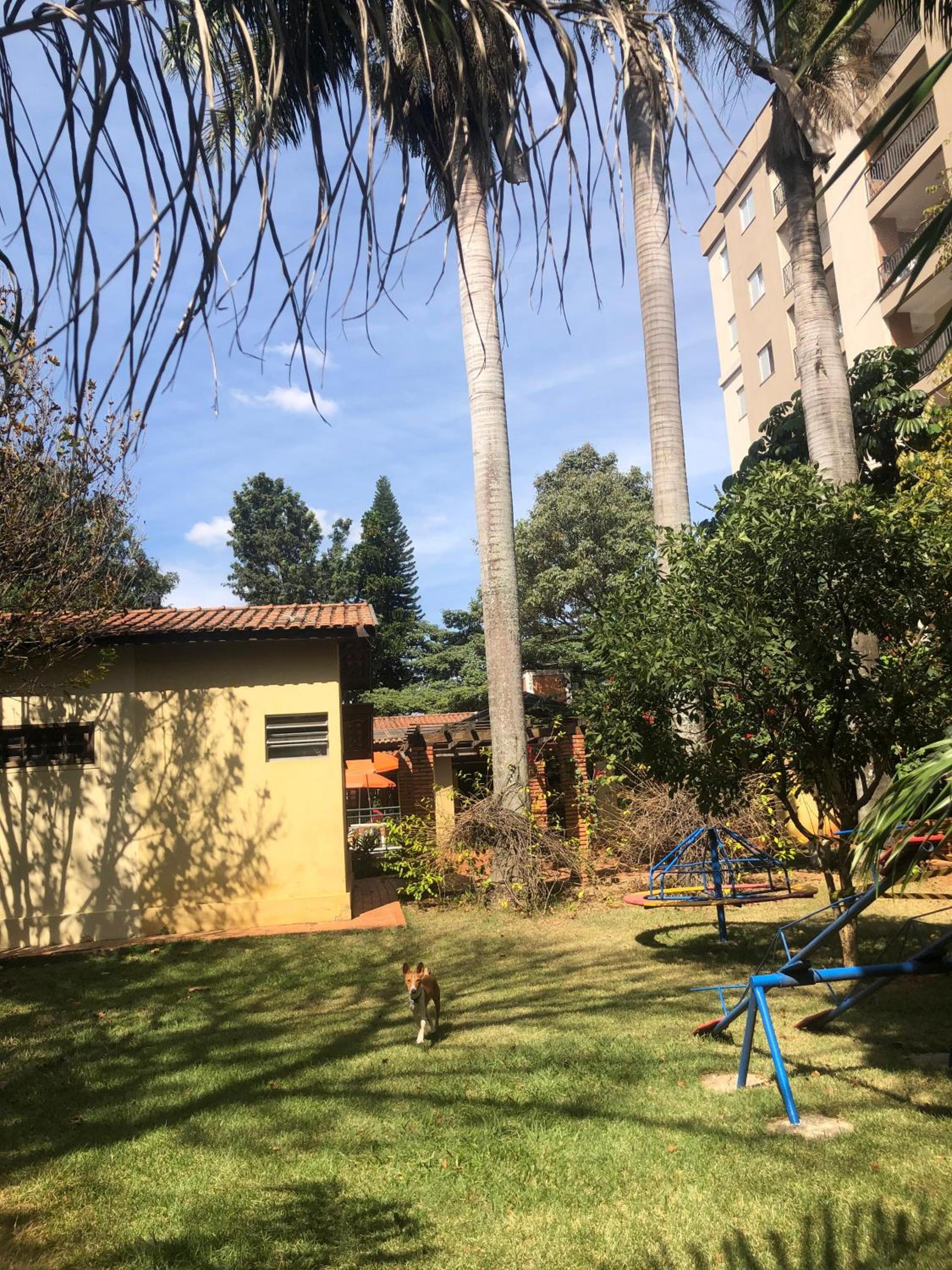 Chácara Linda e Aconchegante com 300mega Internet, Quadra Beach Tennis e Mesa de Sinuca