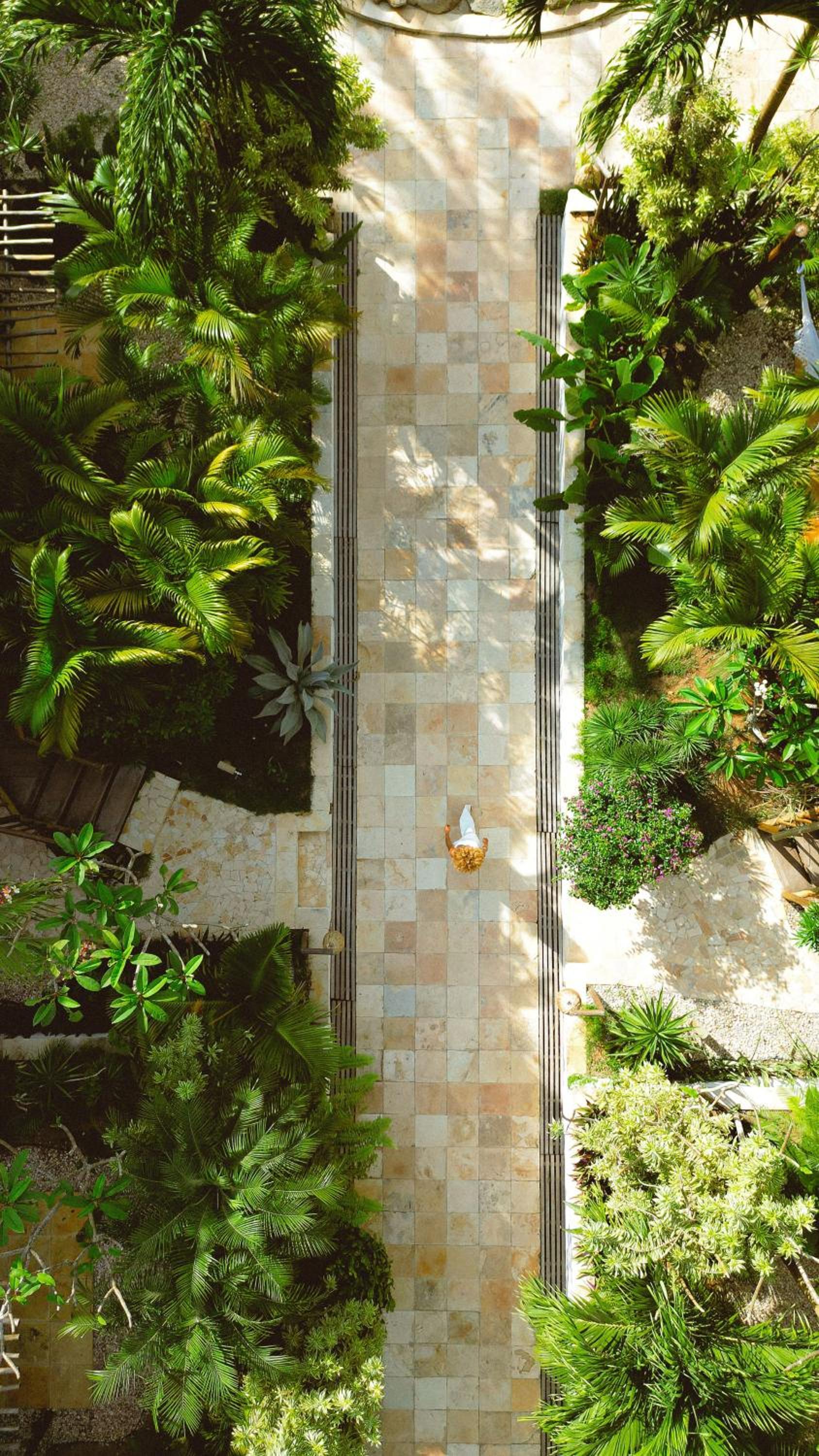 Photo 42