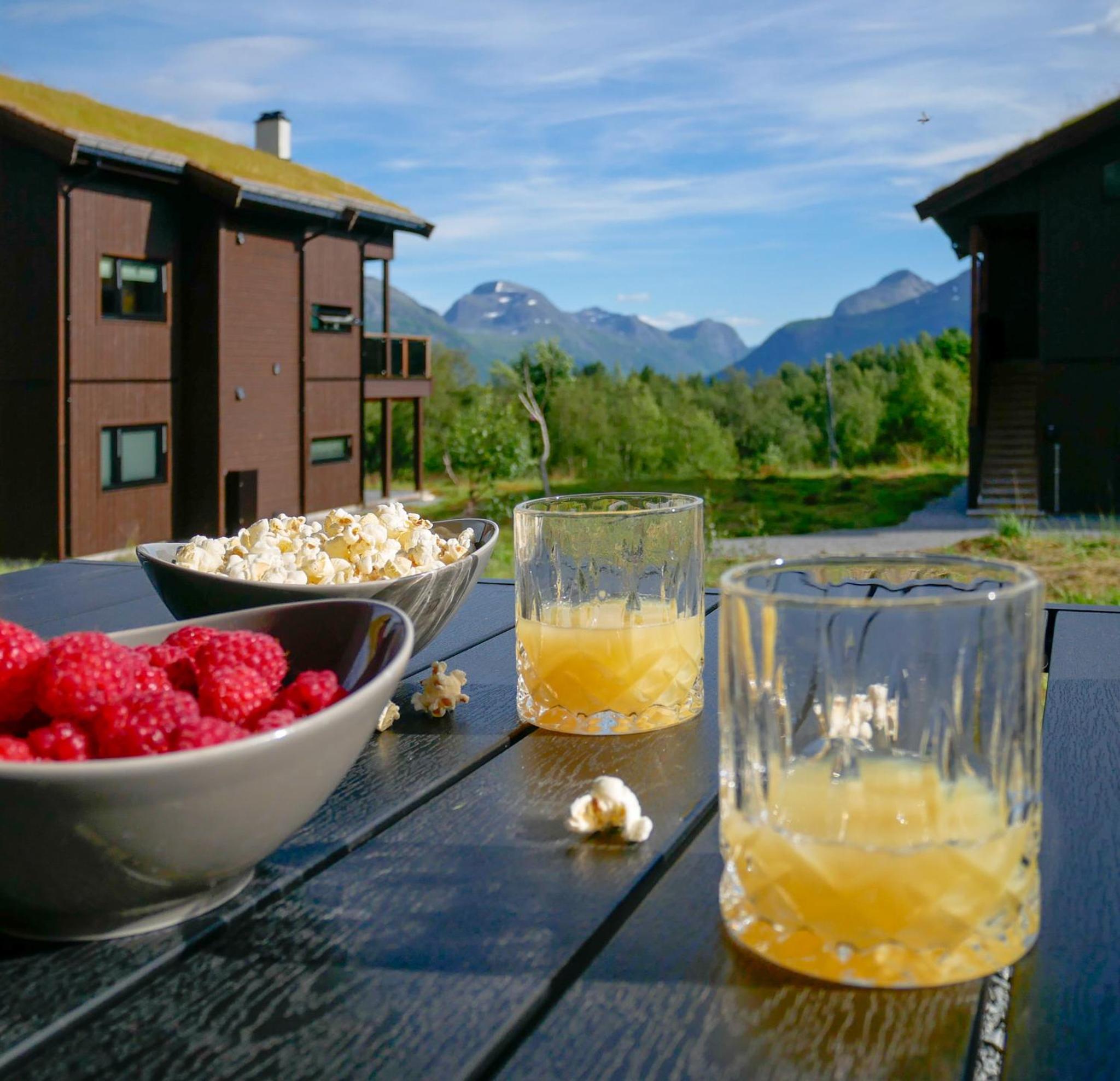 Ground Floor Exclusive Apartment with Sauna - Near Geiranger and the Norwegian Fjords view 2