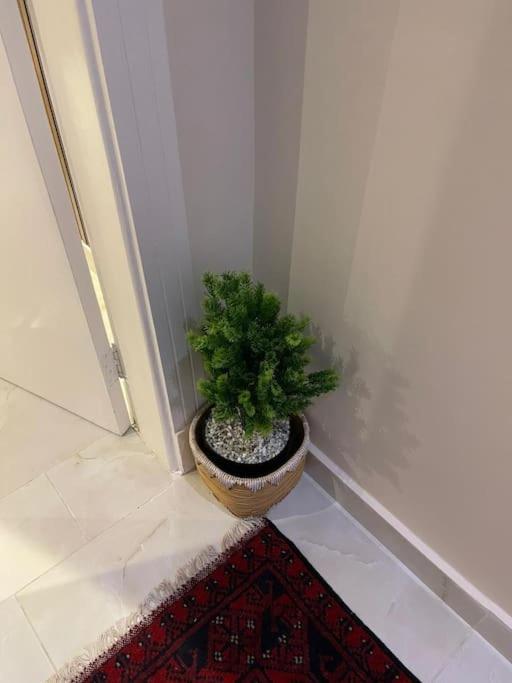 Modern stuido in Riyadh