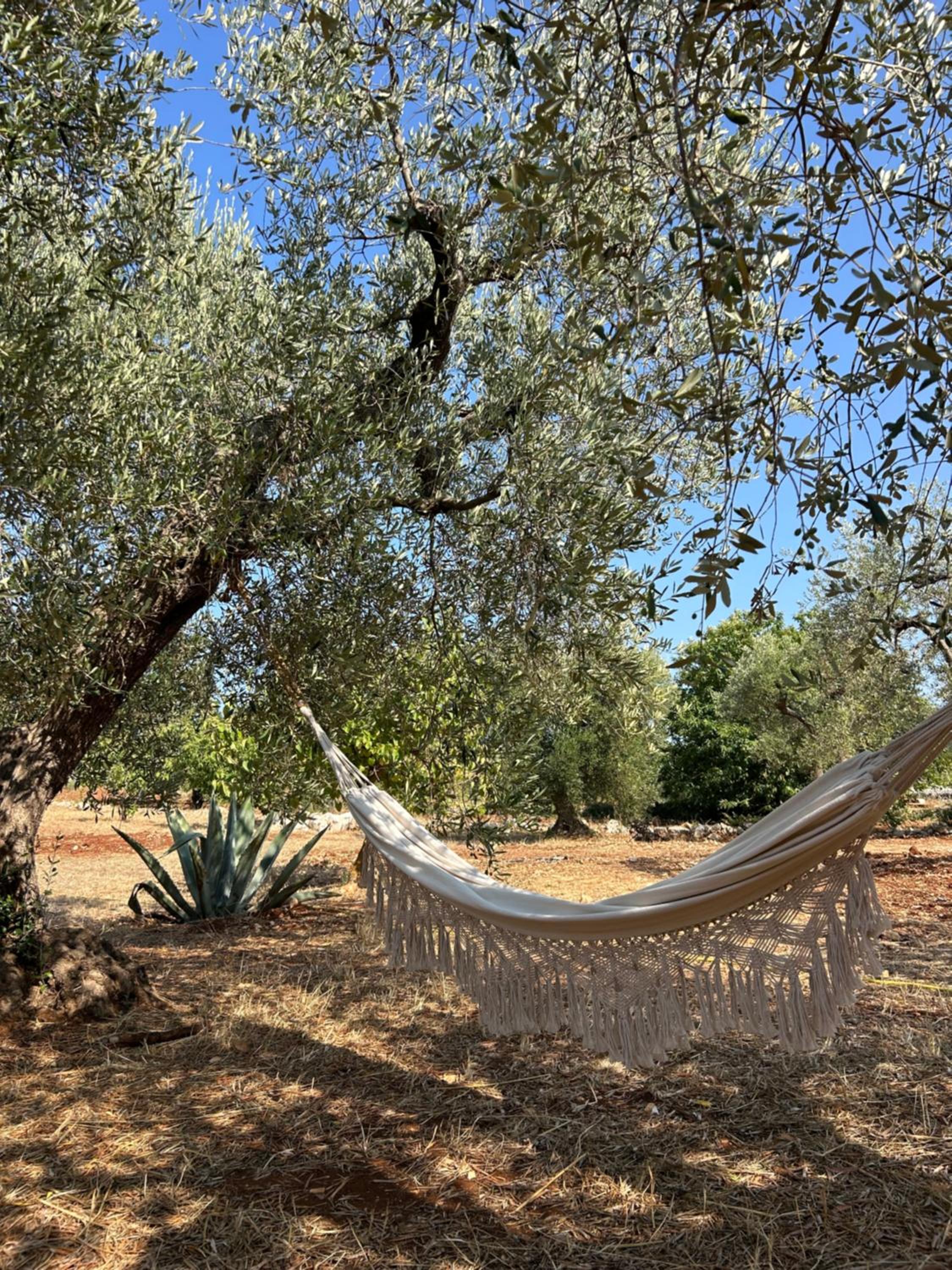 Trulli Biancopumo - private pool