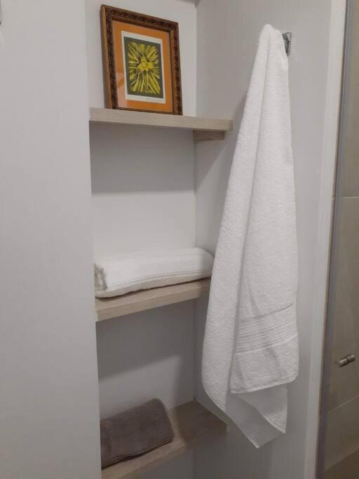 Condo Campestre Armenia