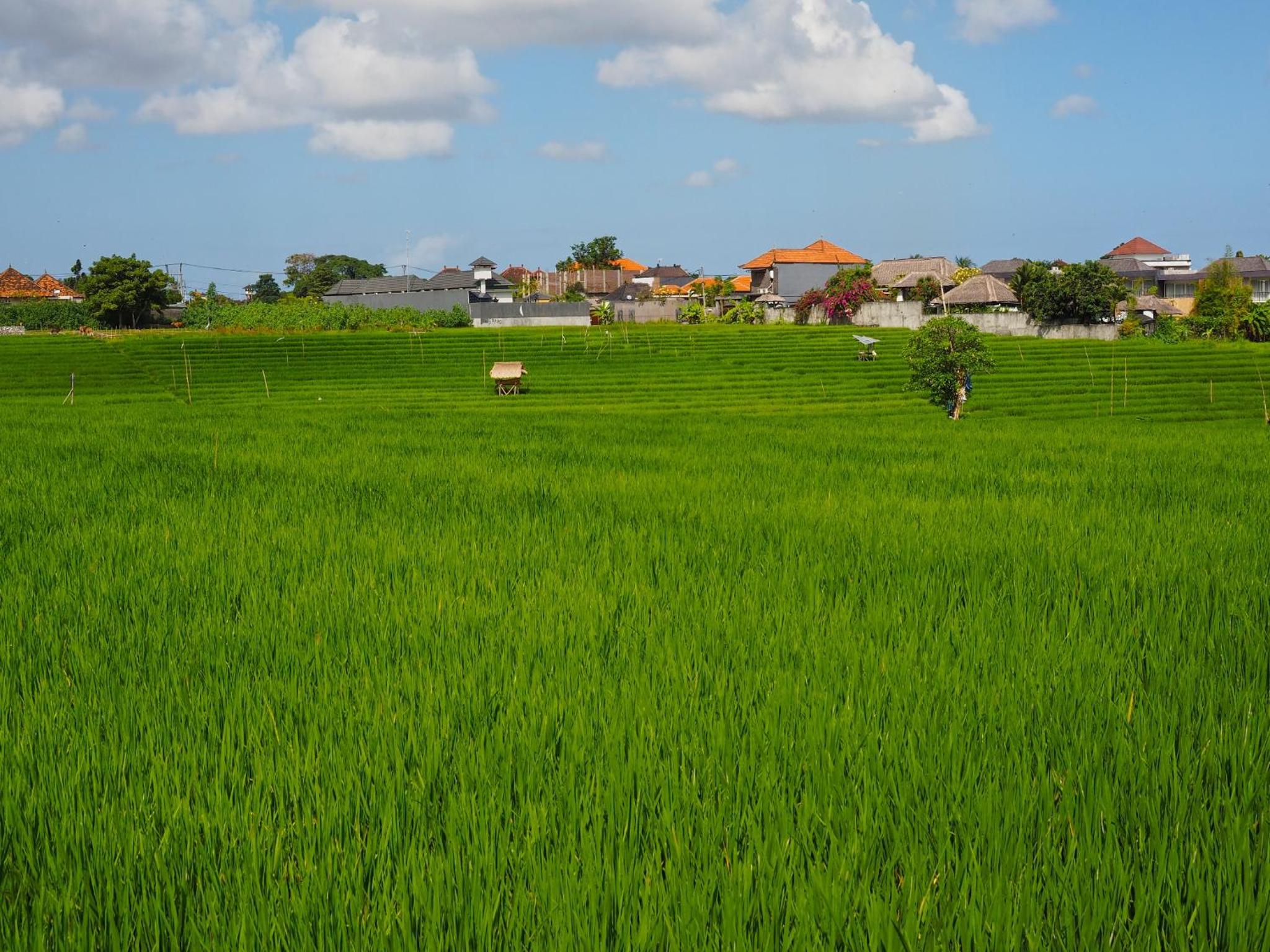 The Santai by LifestyleRetreats