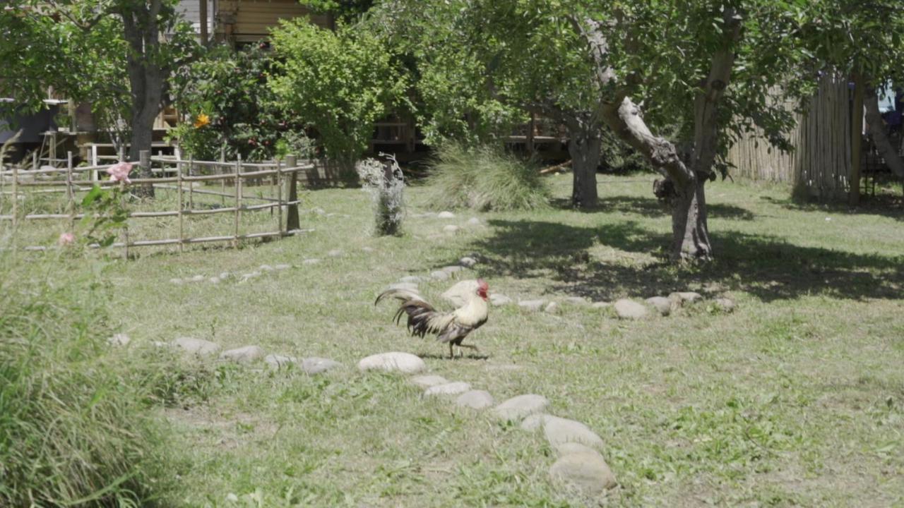 Posada Al Río