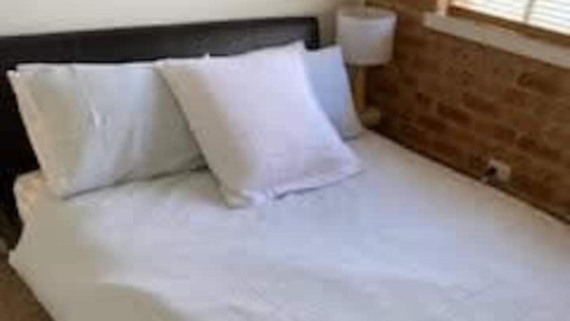The Olive - Family & Pet Friendly