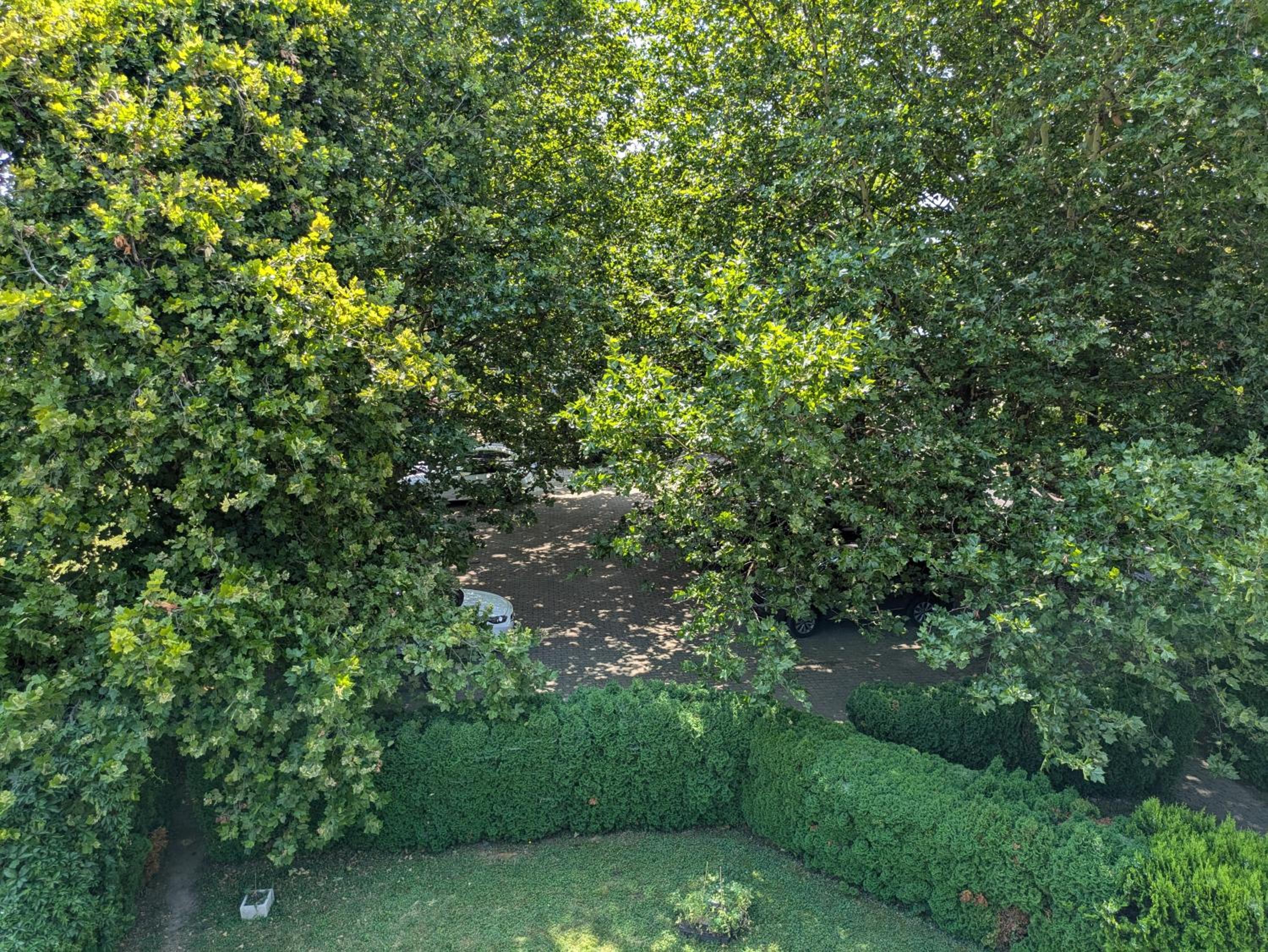 Csopak Strand Apartman view 5