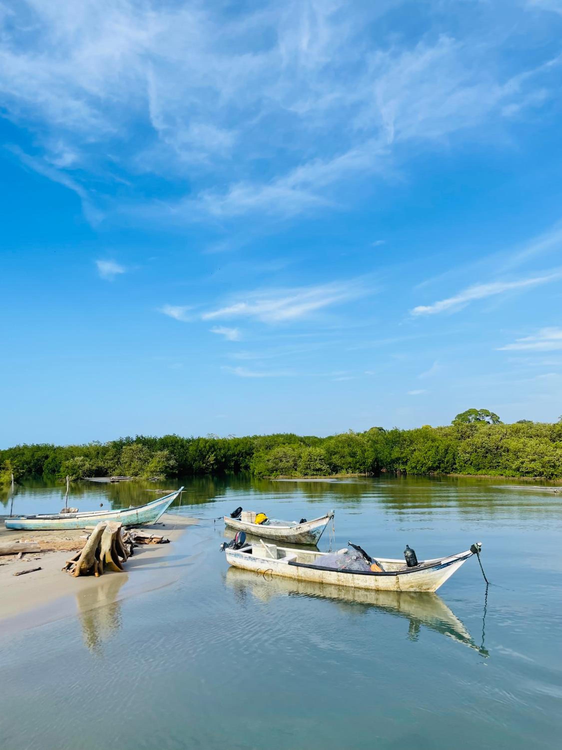 Alkimia Beach