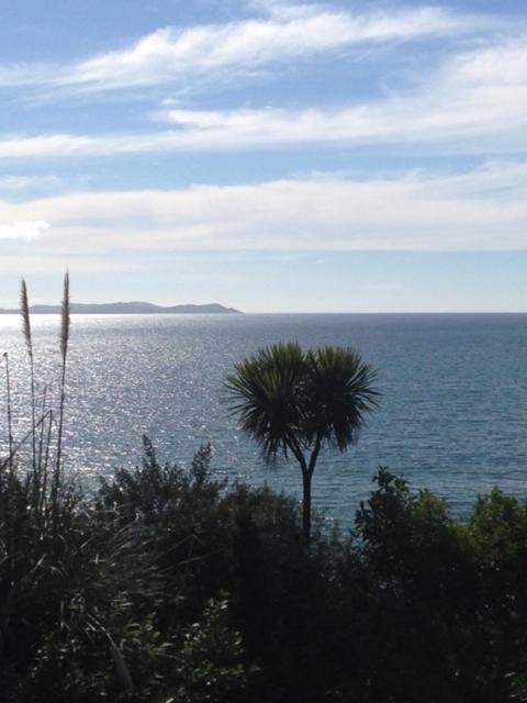 Pencarrow - Bach view 2