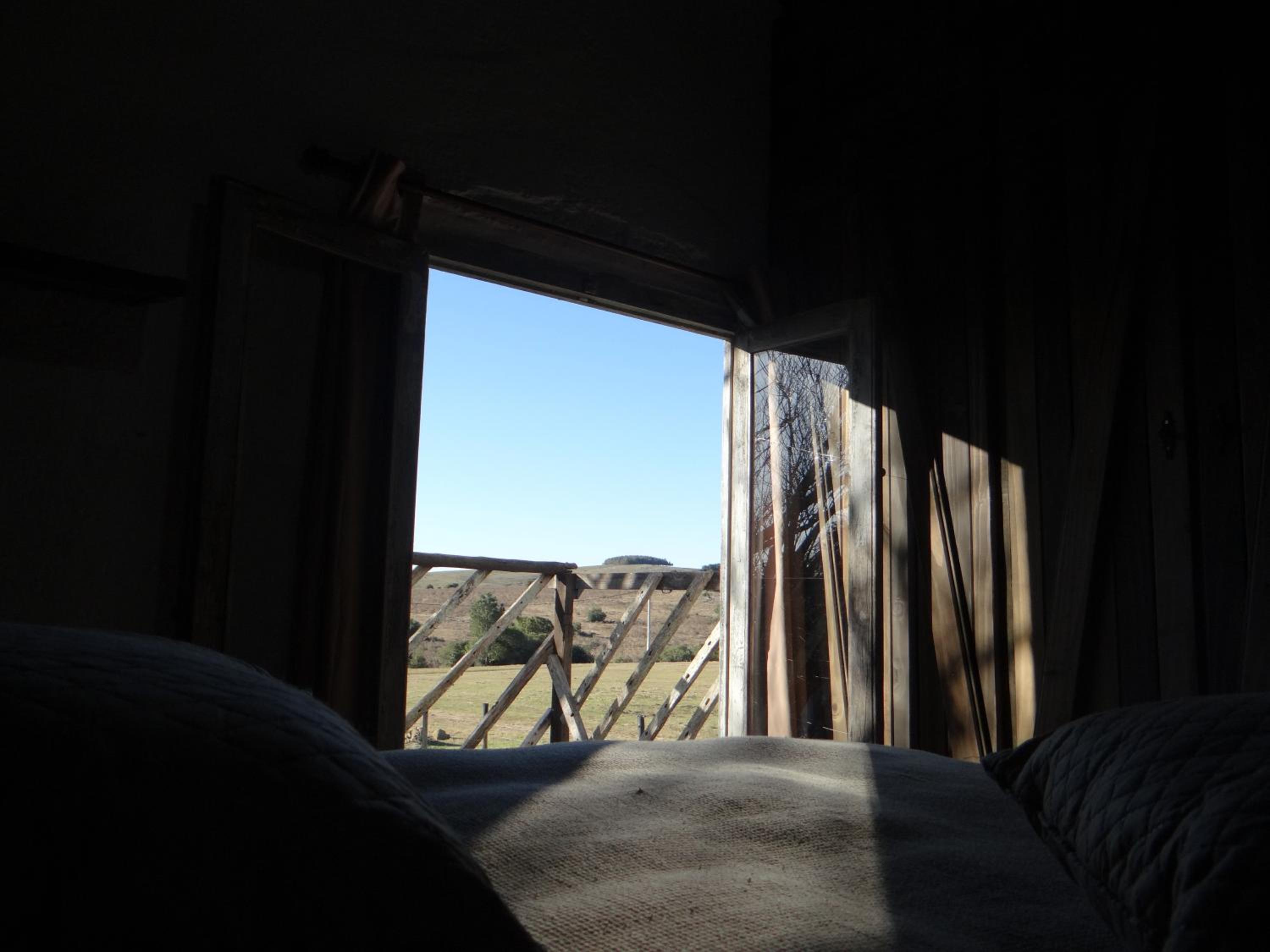 Photo 43