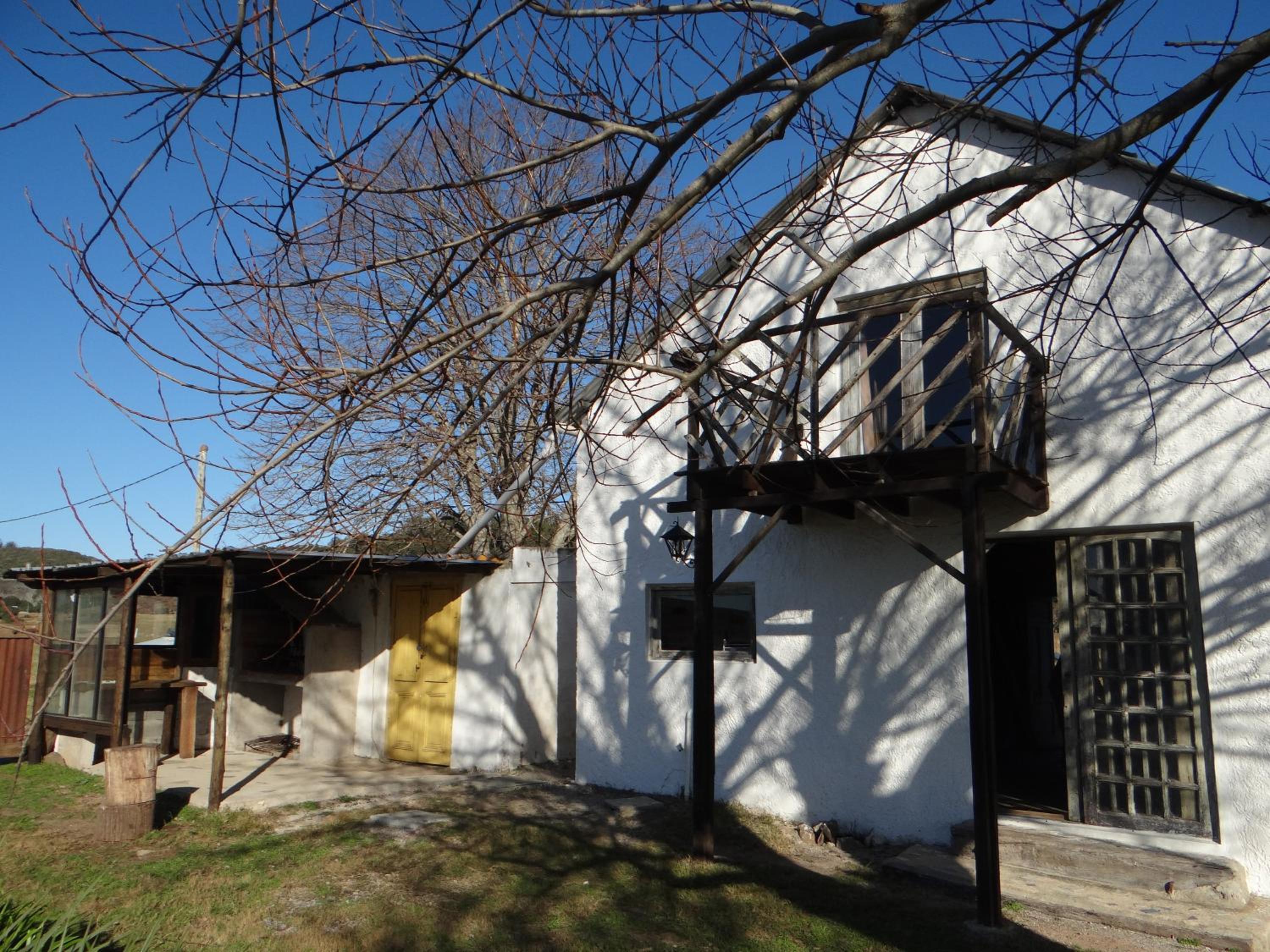 Photo 42