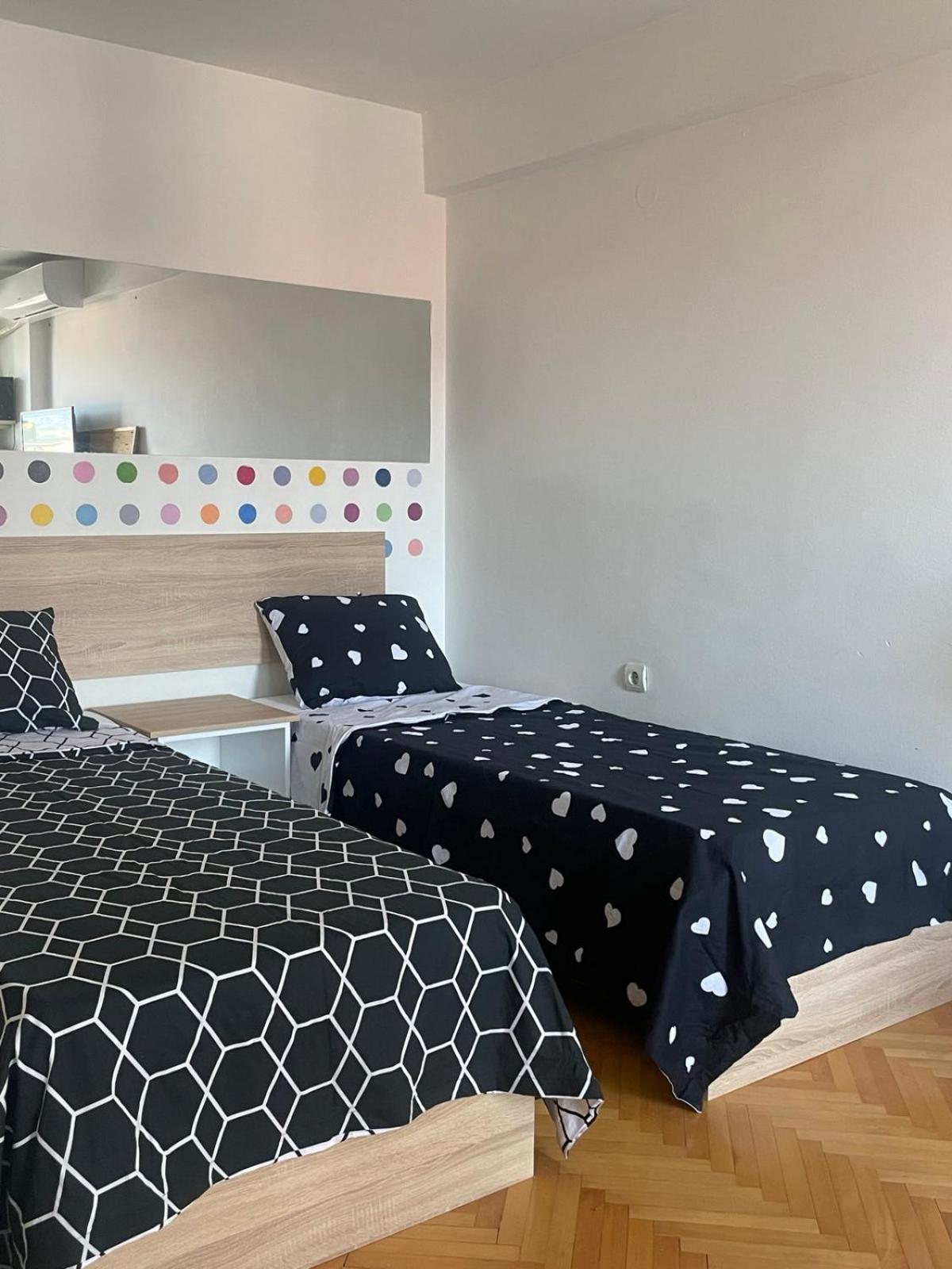 Wolf's Central Flat view 3