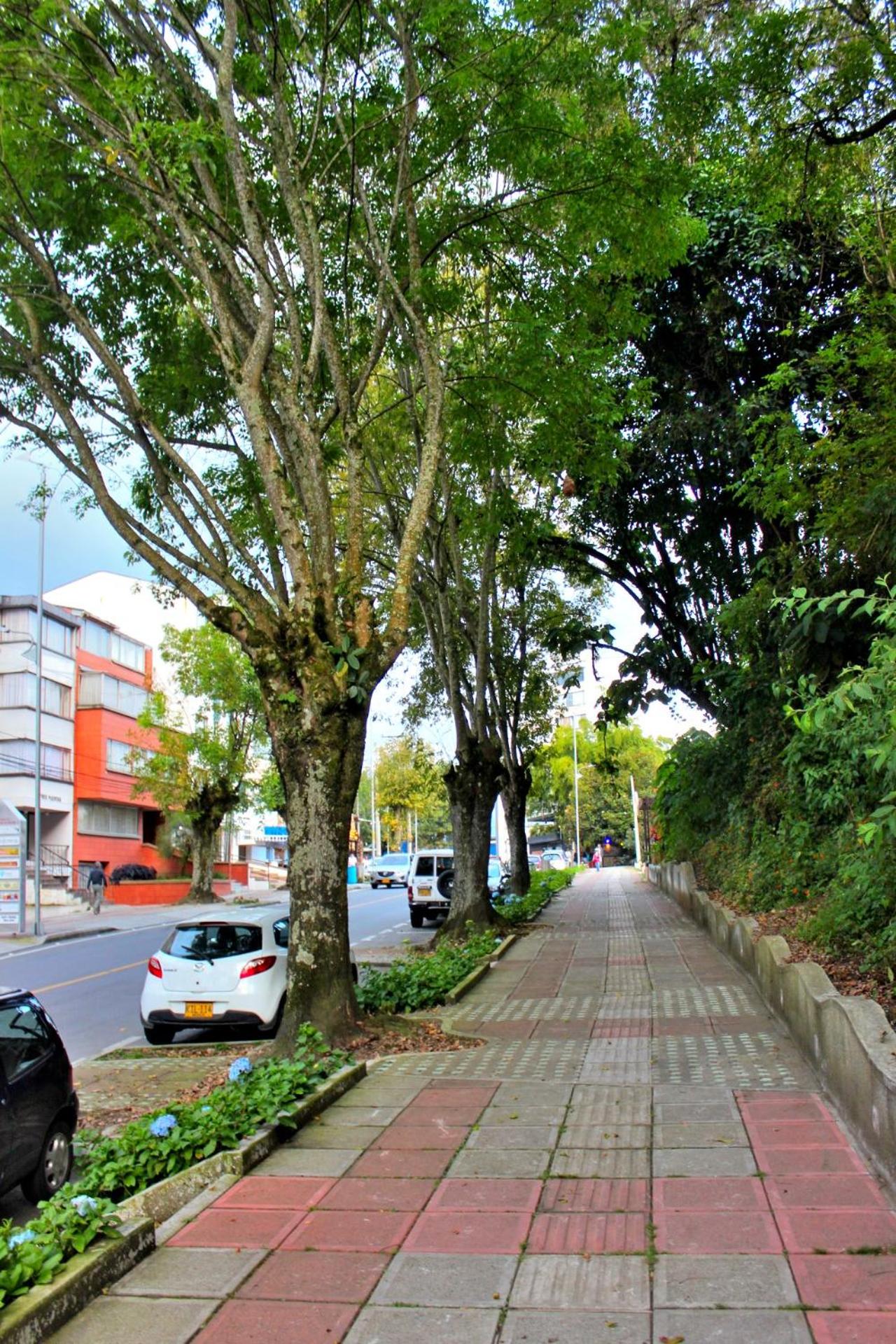 Hermoso apartaestudio Zona Rosa de Milan