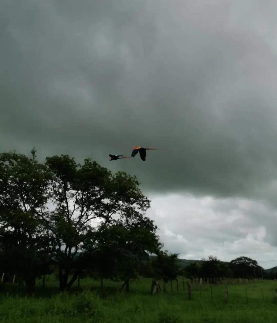 Chiquita House, Guanacaste Blue Zone