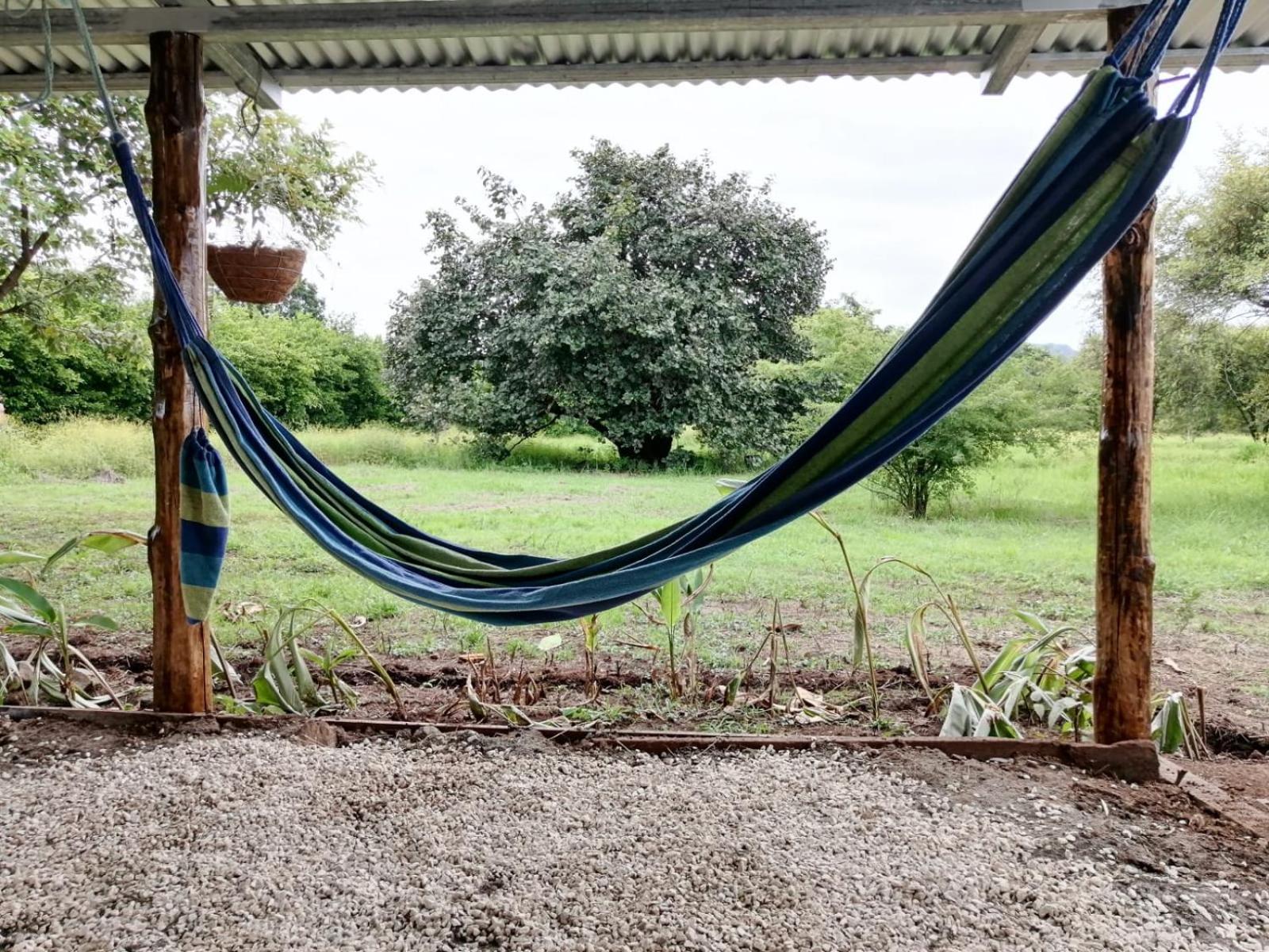 Chiquita House, Guanacaste Blue Zone